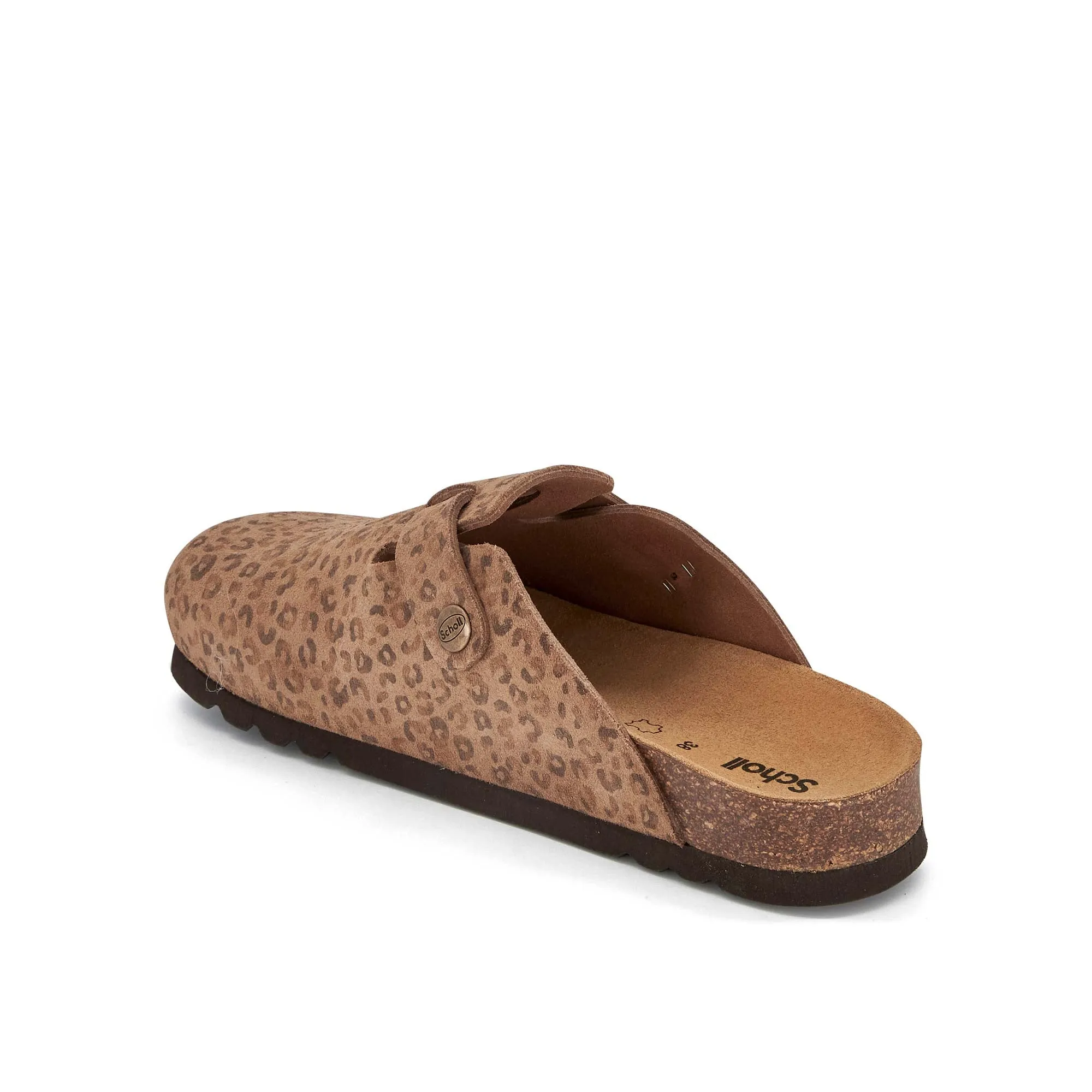 FAE NEW -Scholl