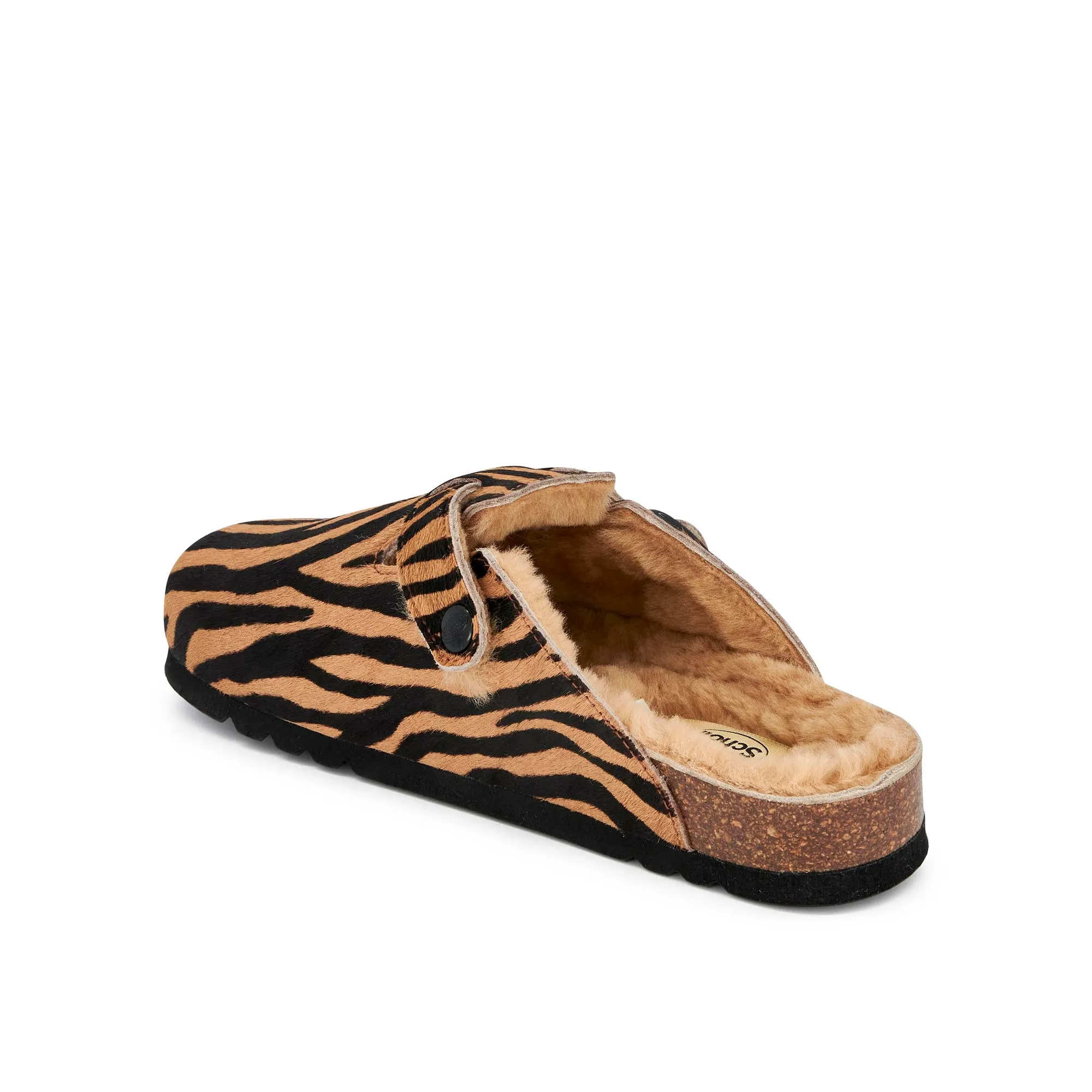 FAE NEW -Scholl