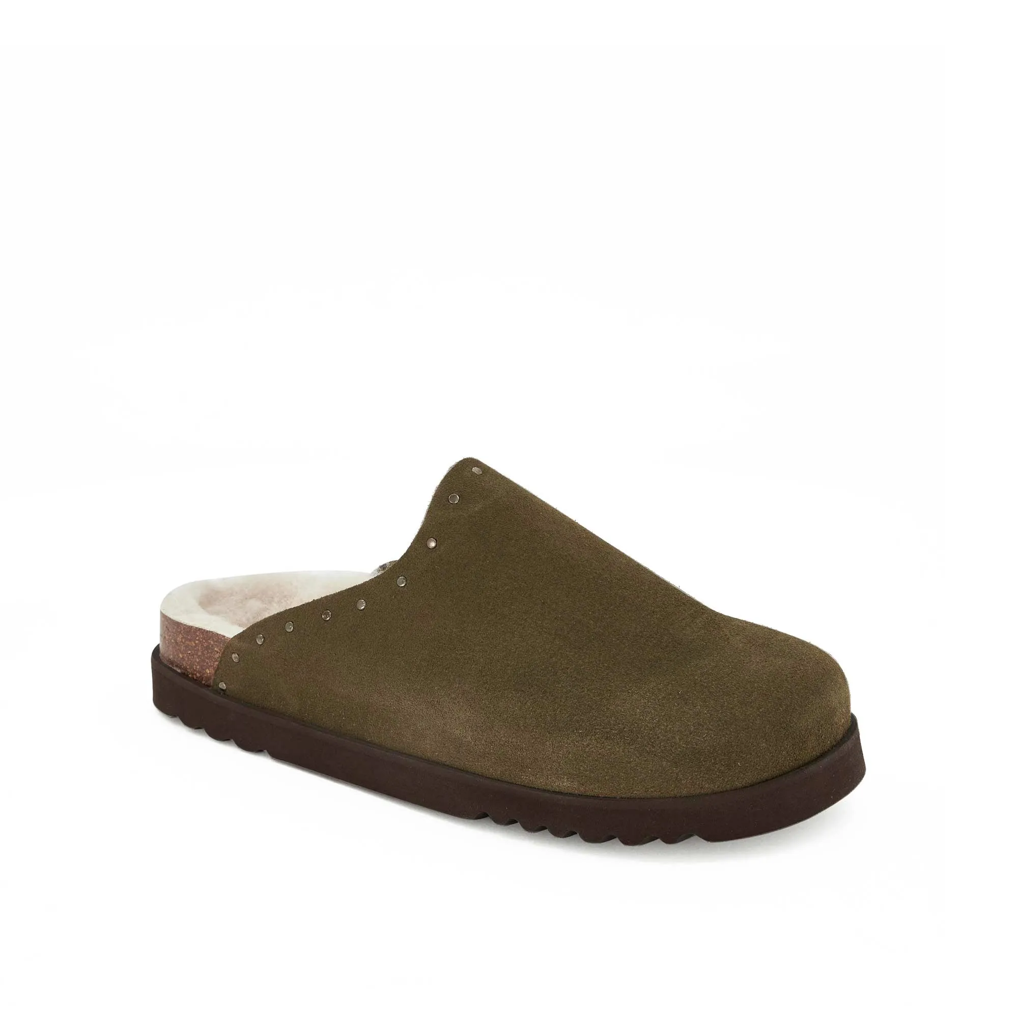 FAE STUDS -Scholl