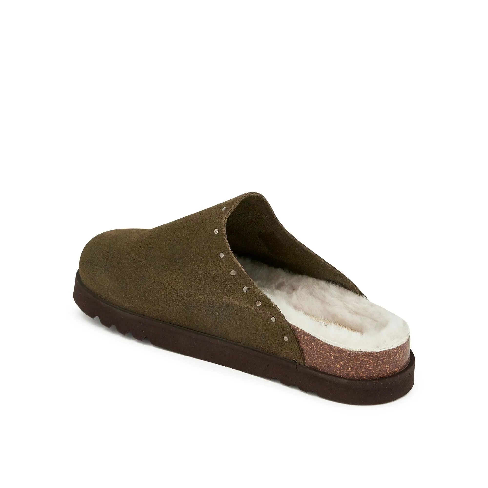 FAE STUDS -Scholl