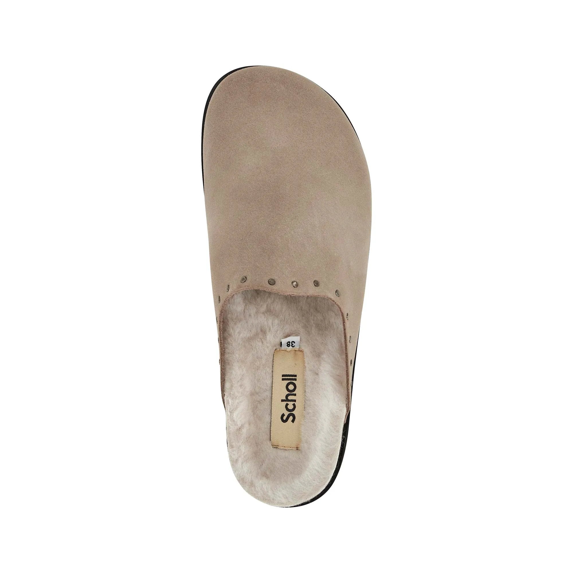 FAE STUDS -Scholl