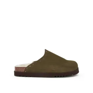 FAE STUDS -Scholl