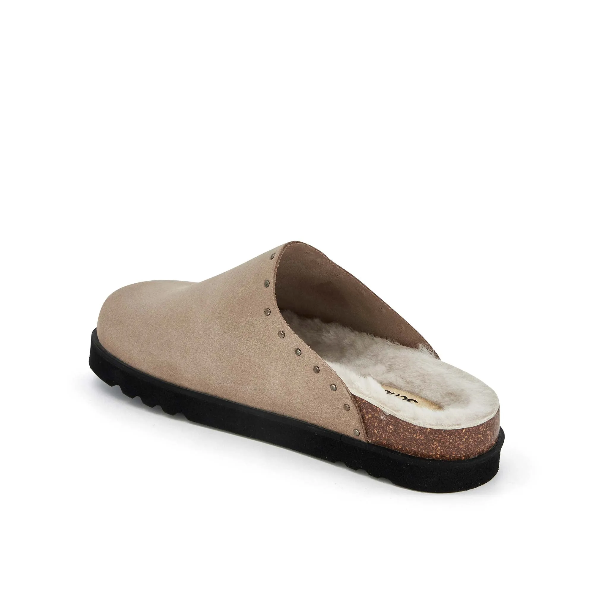 FAE STUDS -Scholl