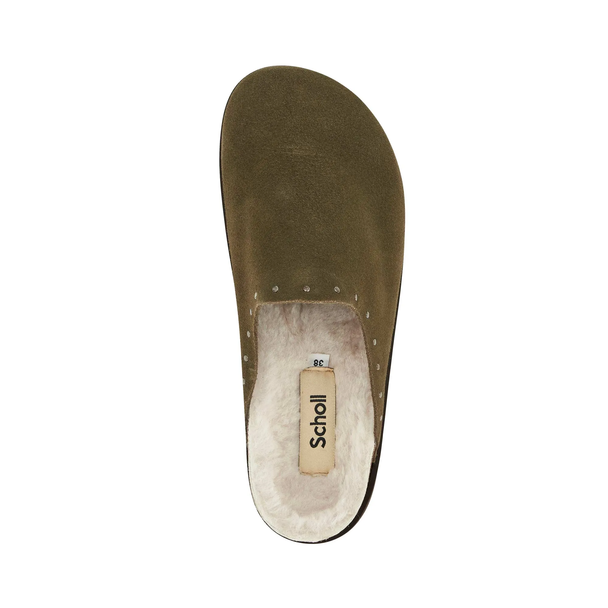FAE STUDS -Scholl