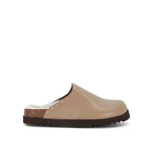 FAE STUDS -Scholl