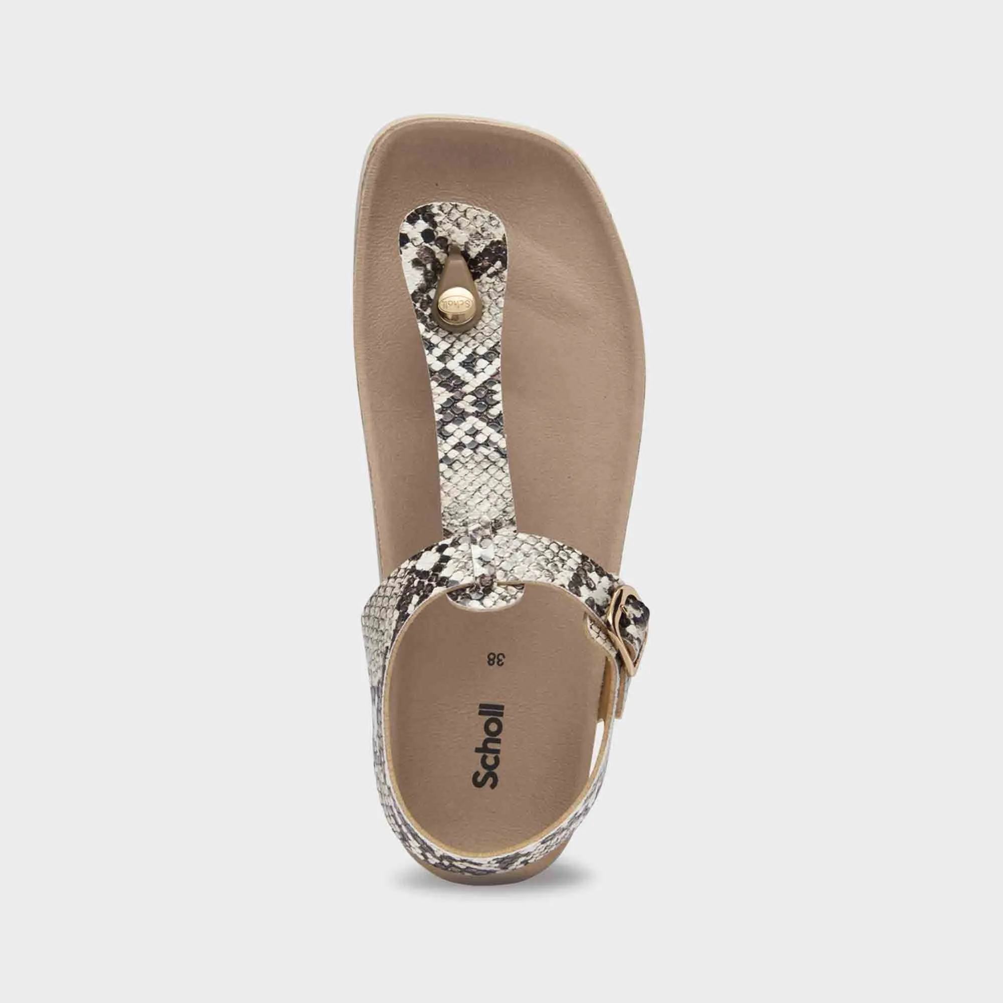 Floriane Women Shoes-Scholl