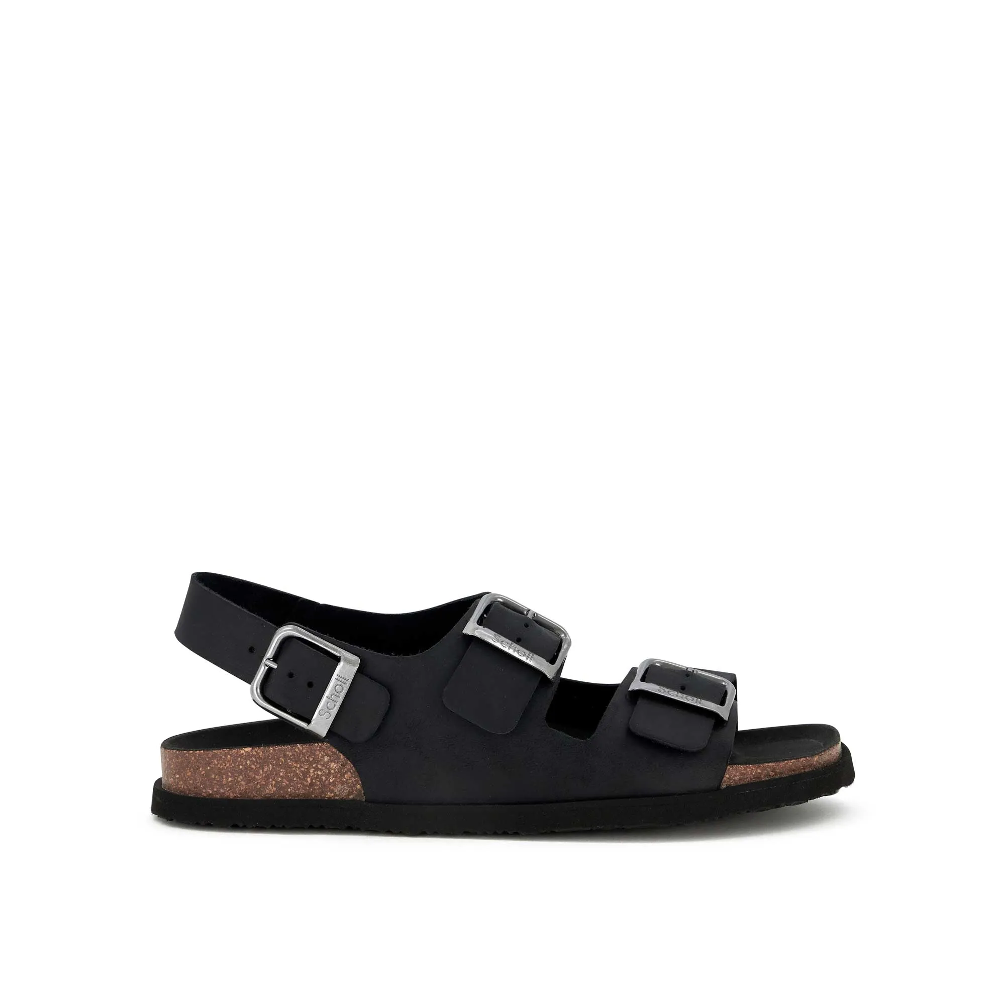 GASTON -Scholl