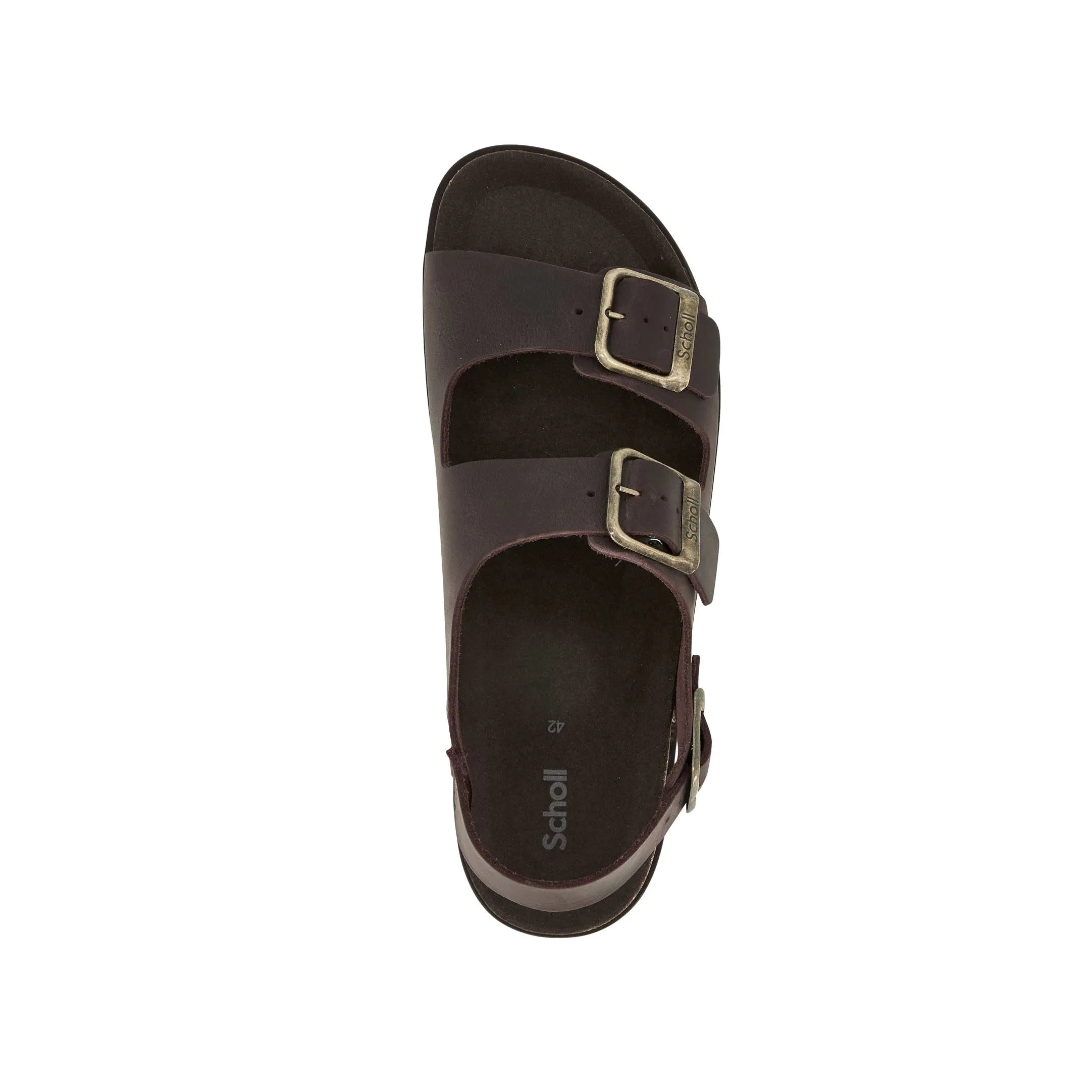 GASTON -Scholl