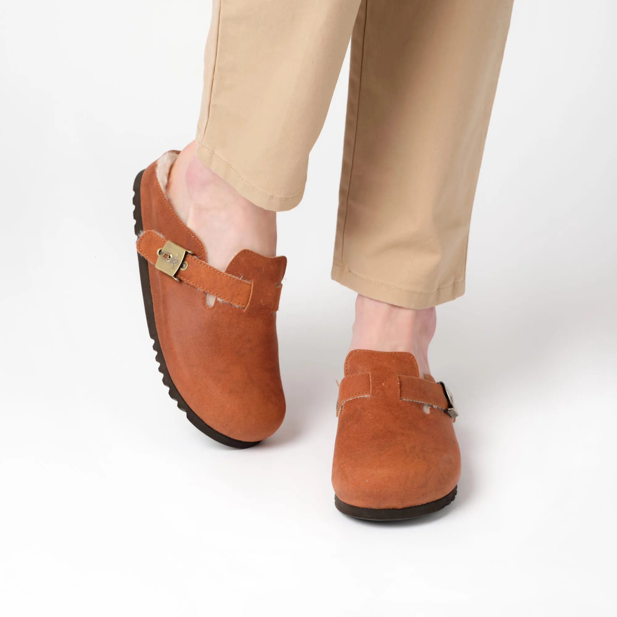 GRACE -Scholl