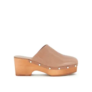 HAILEY -Scholl