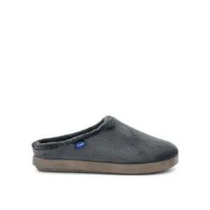 HOLLY -Scholl