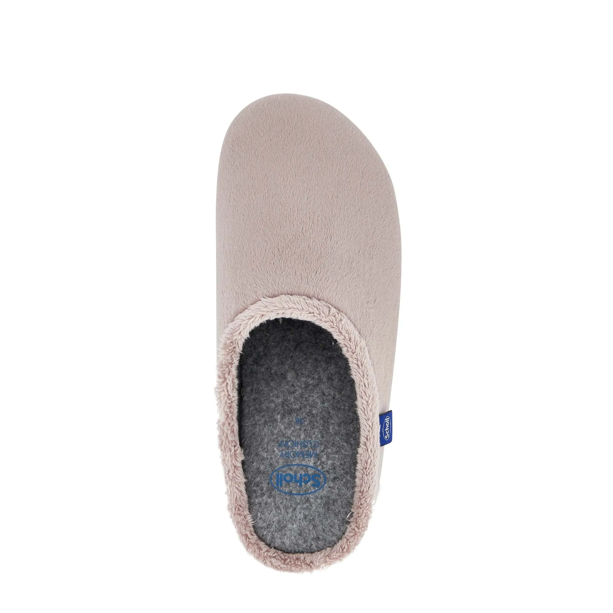 HOLLY -Scholl