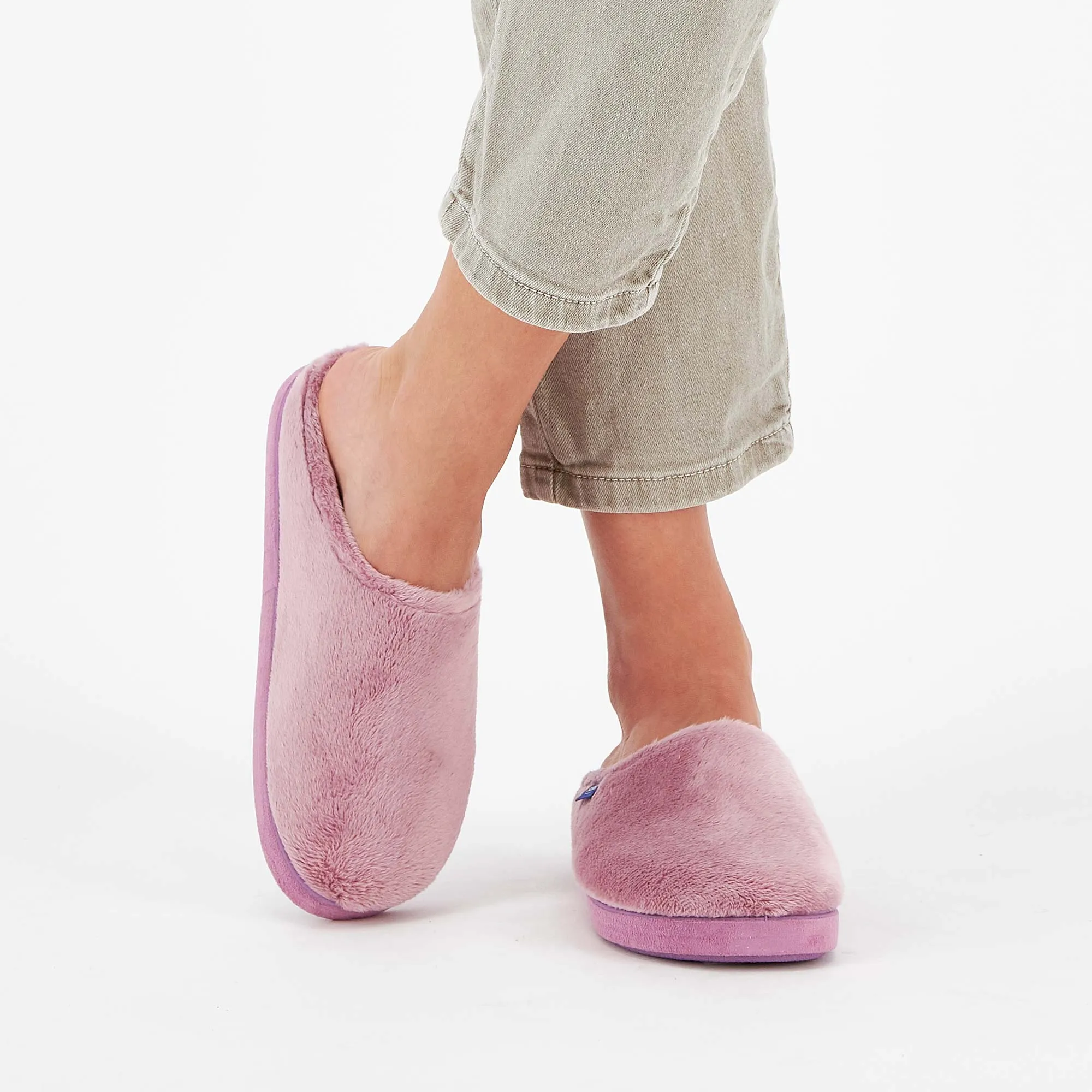 HOLLY -Scholl