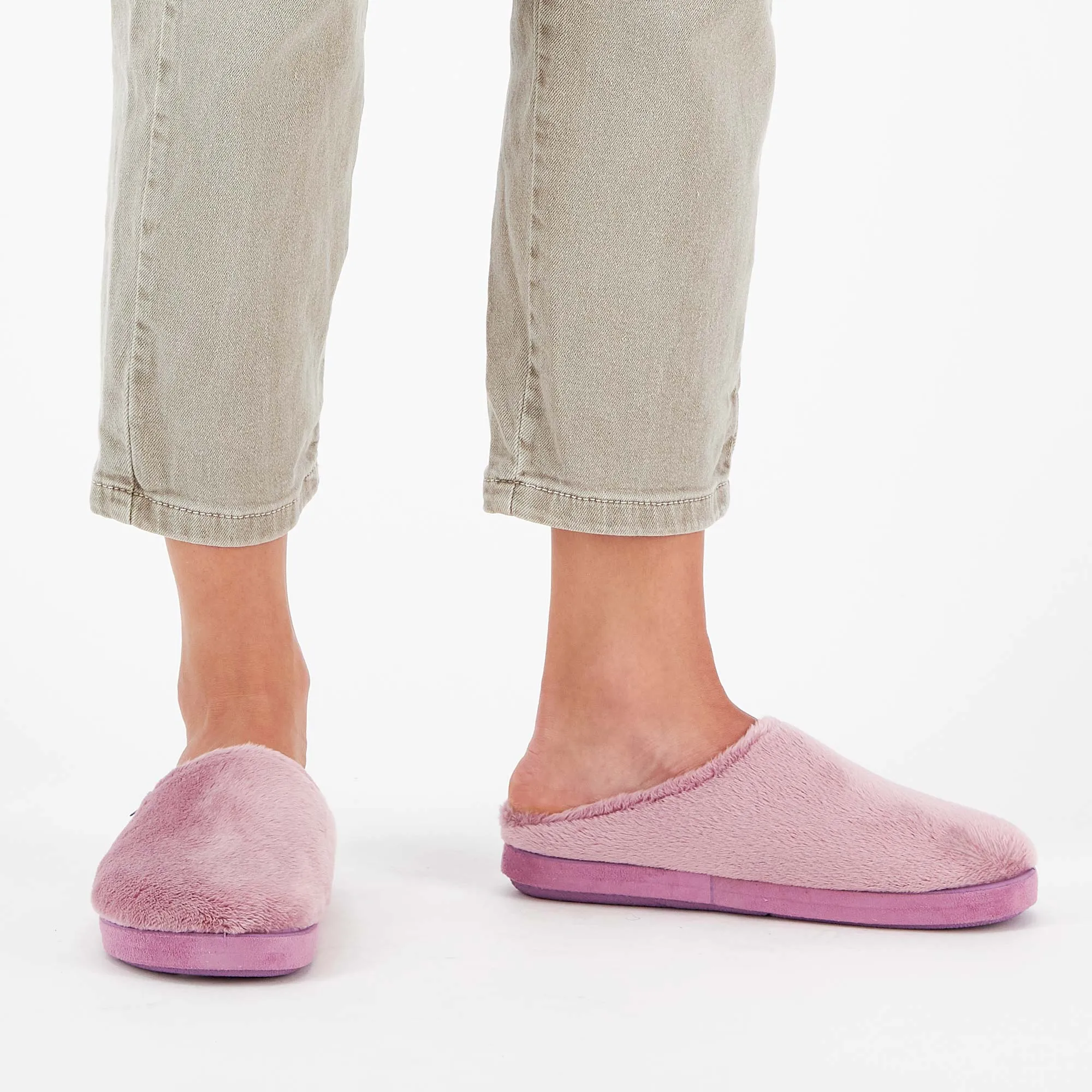 HOLLY -Scholl