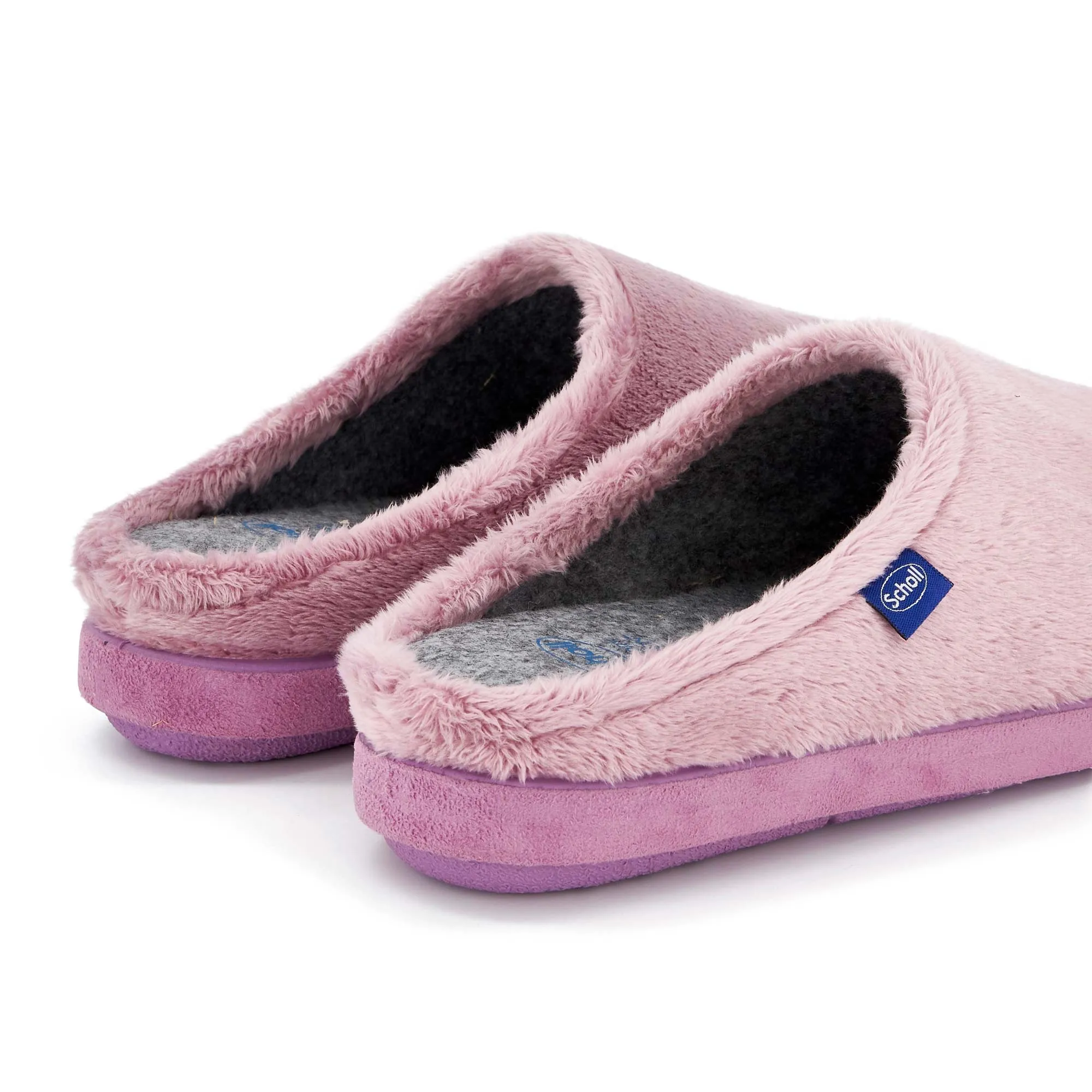 HOLLY -Scholl