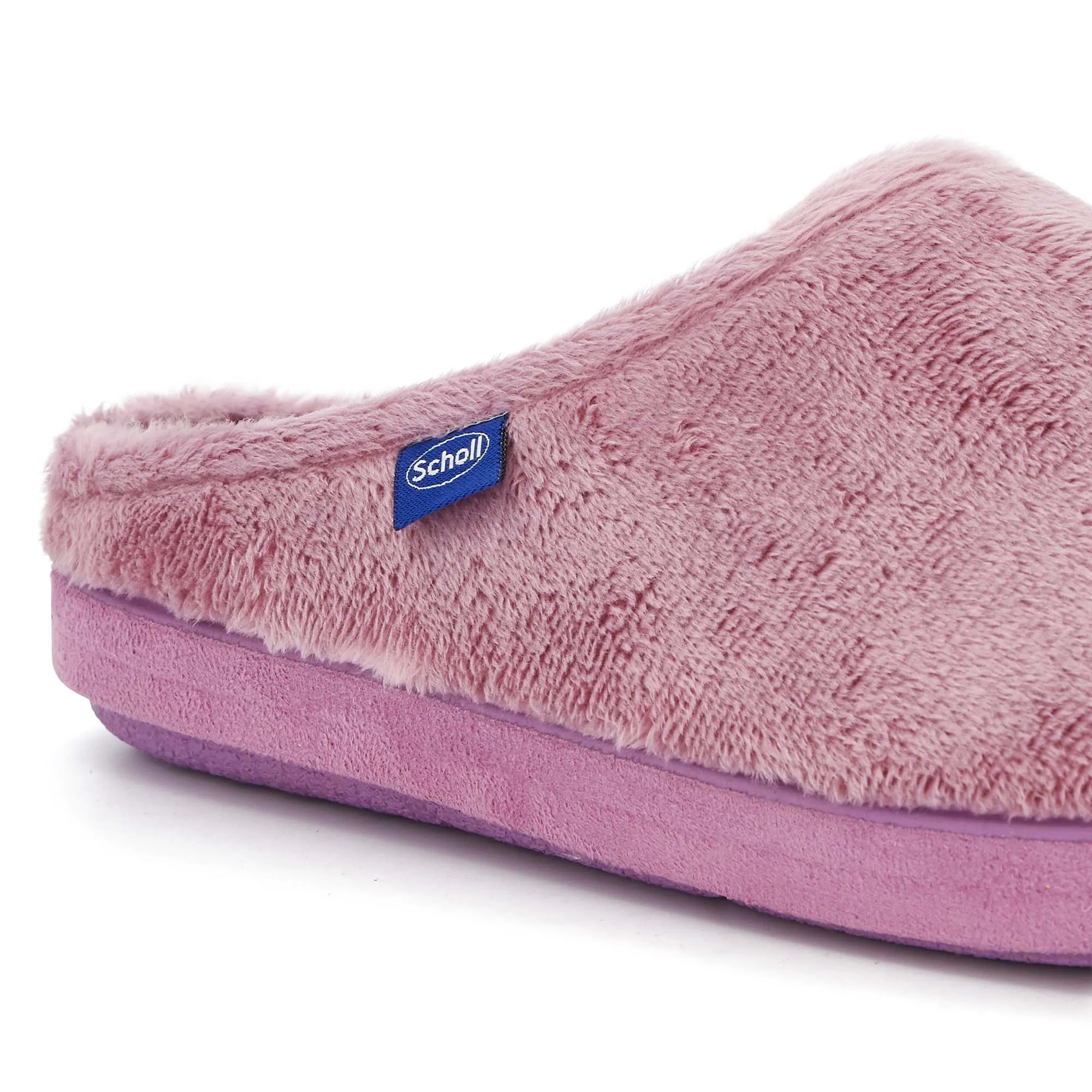HOLLY -Scholl