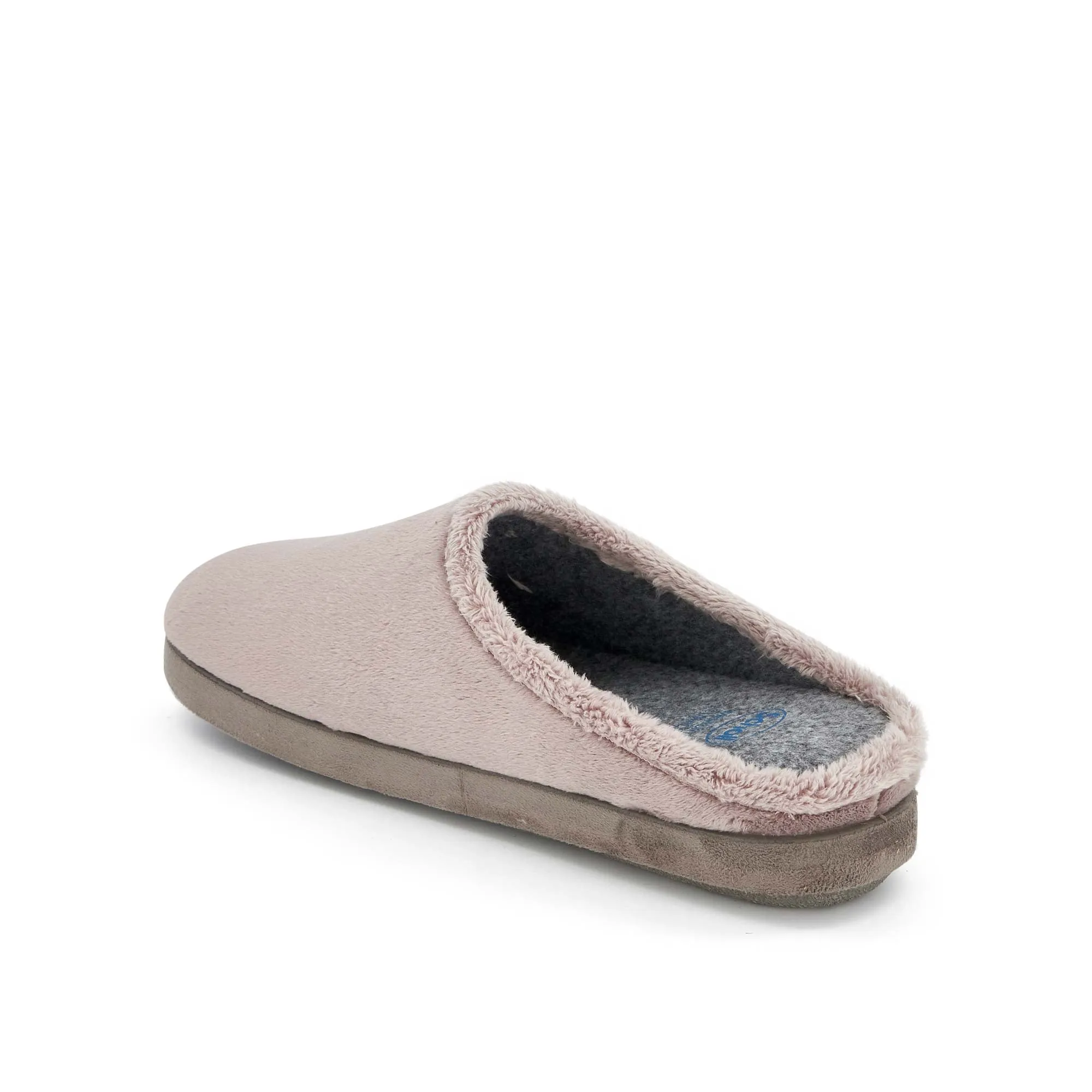 HOLLY -Scholl