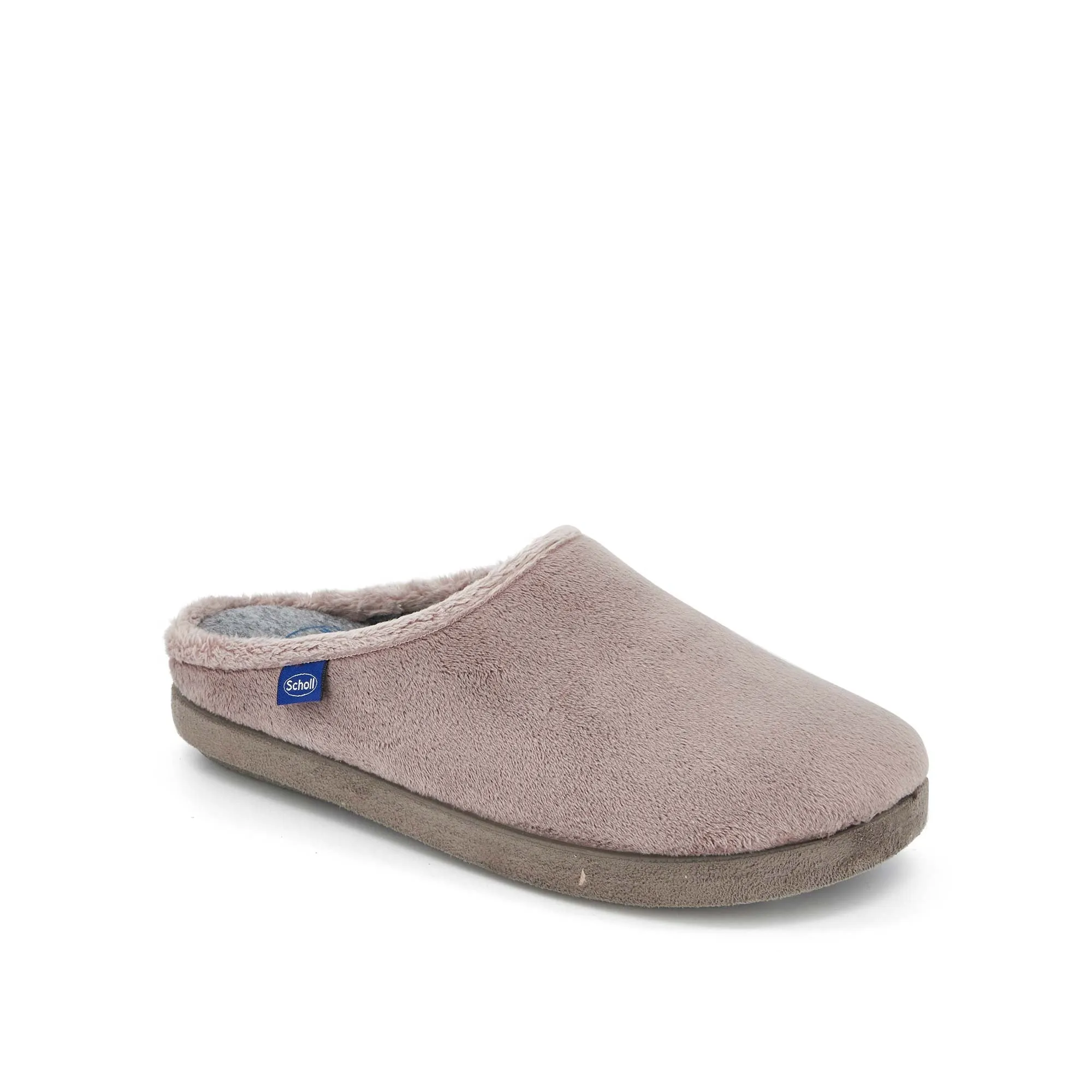 HOLLY -Scholl