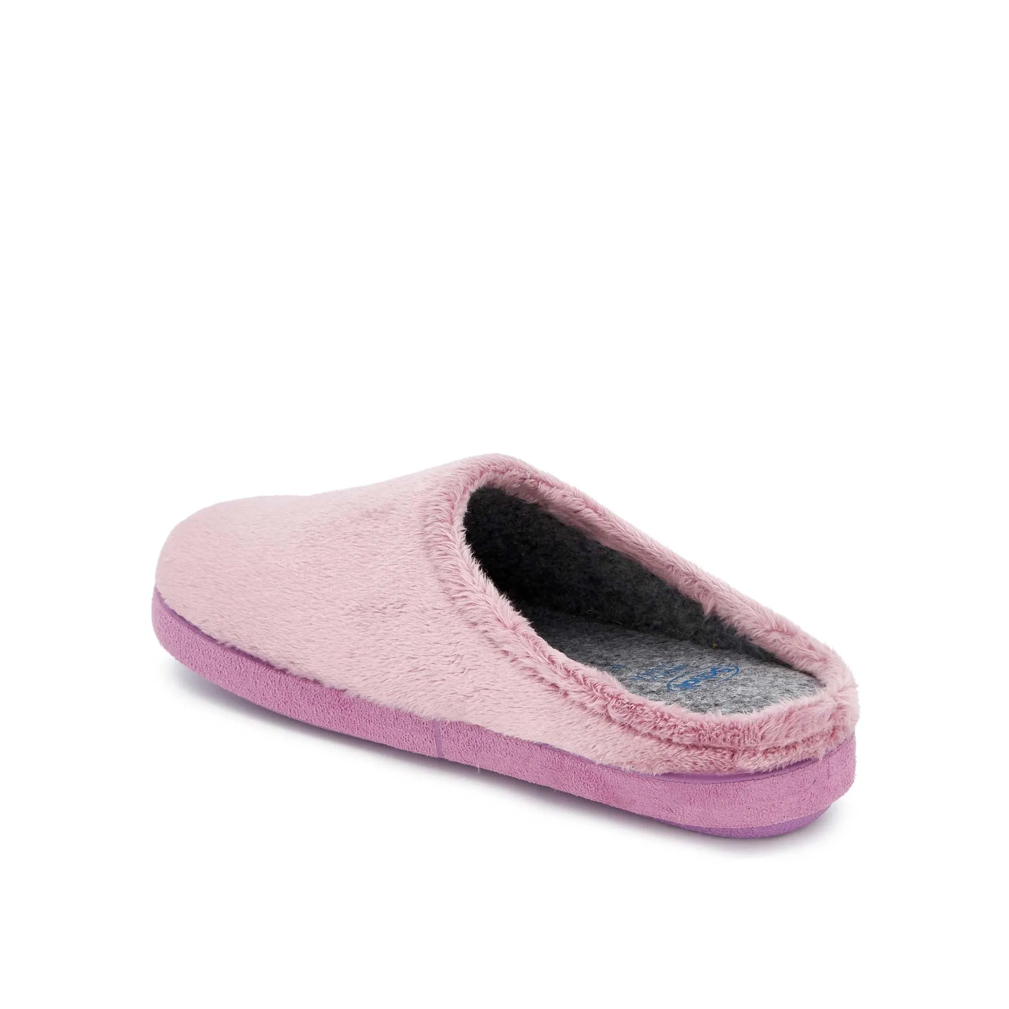 HOLLY -Scholl