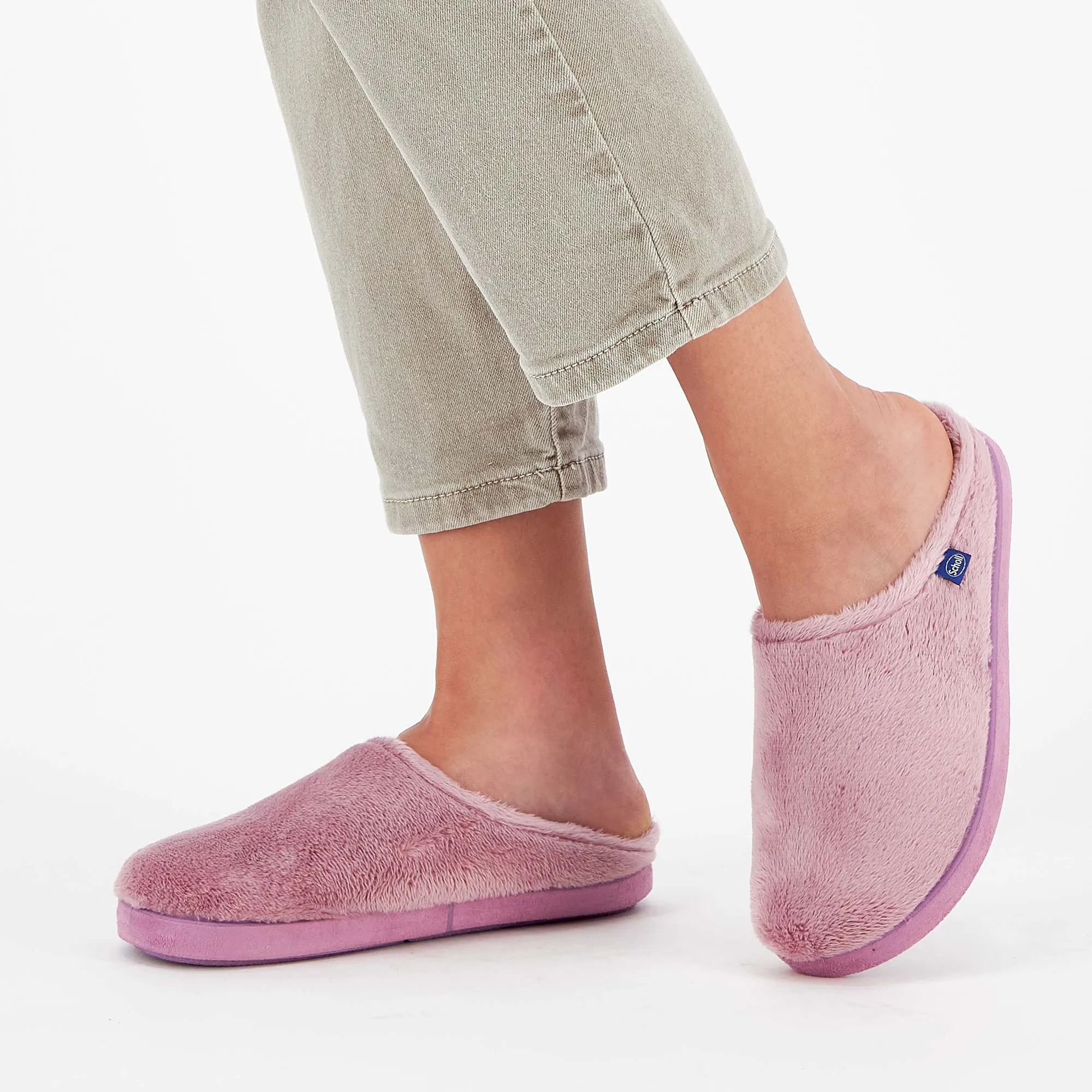 HOLLY -Scholl