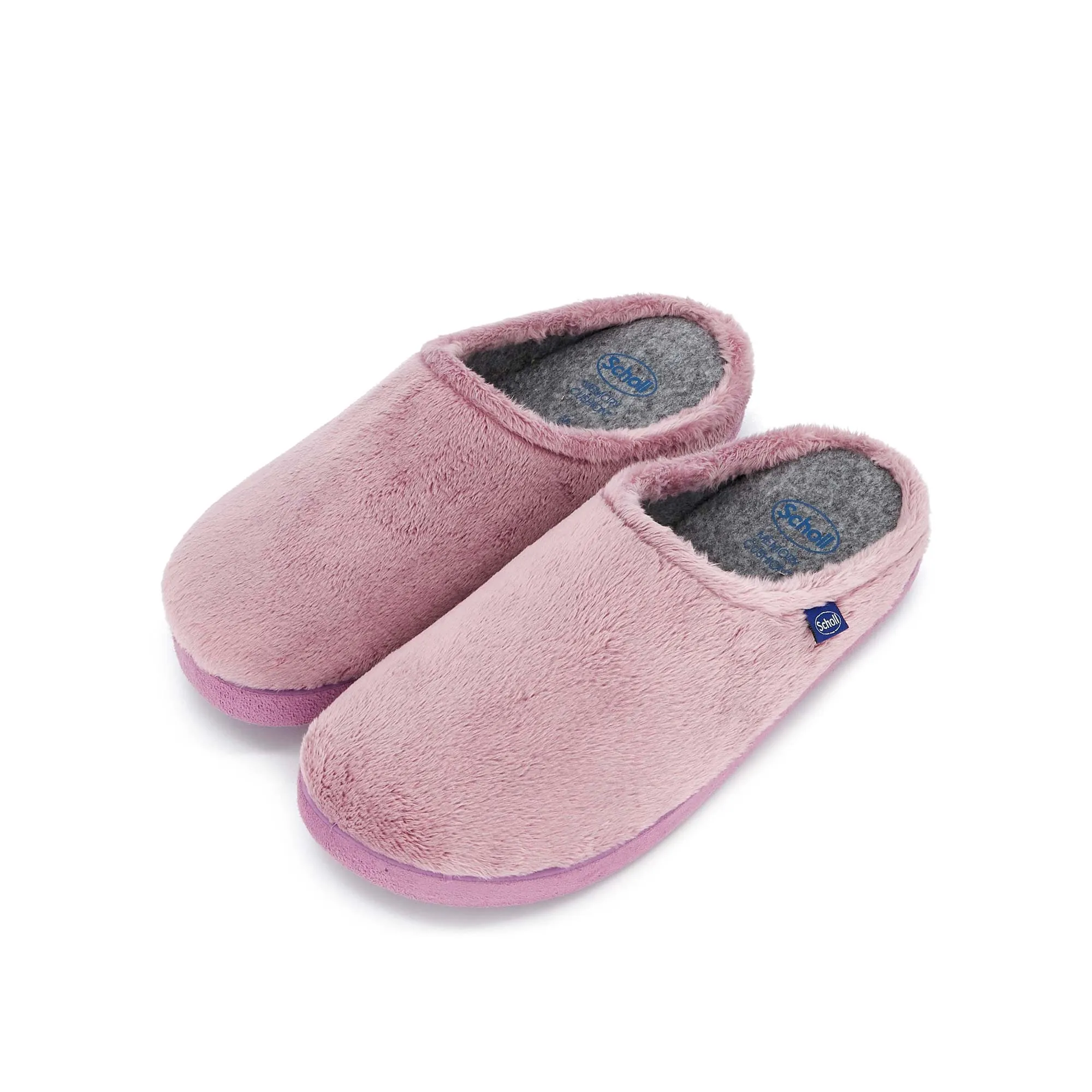 HOLLY -Scholl