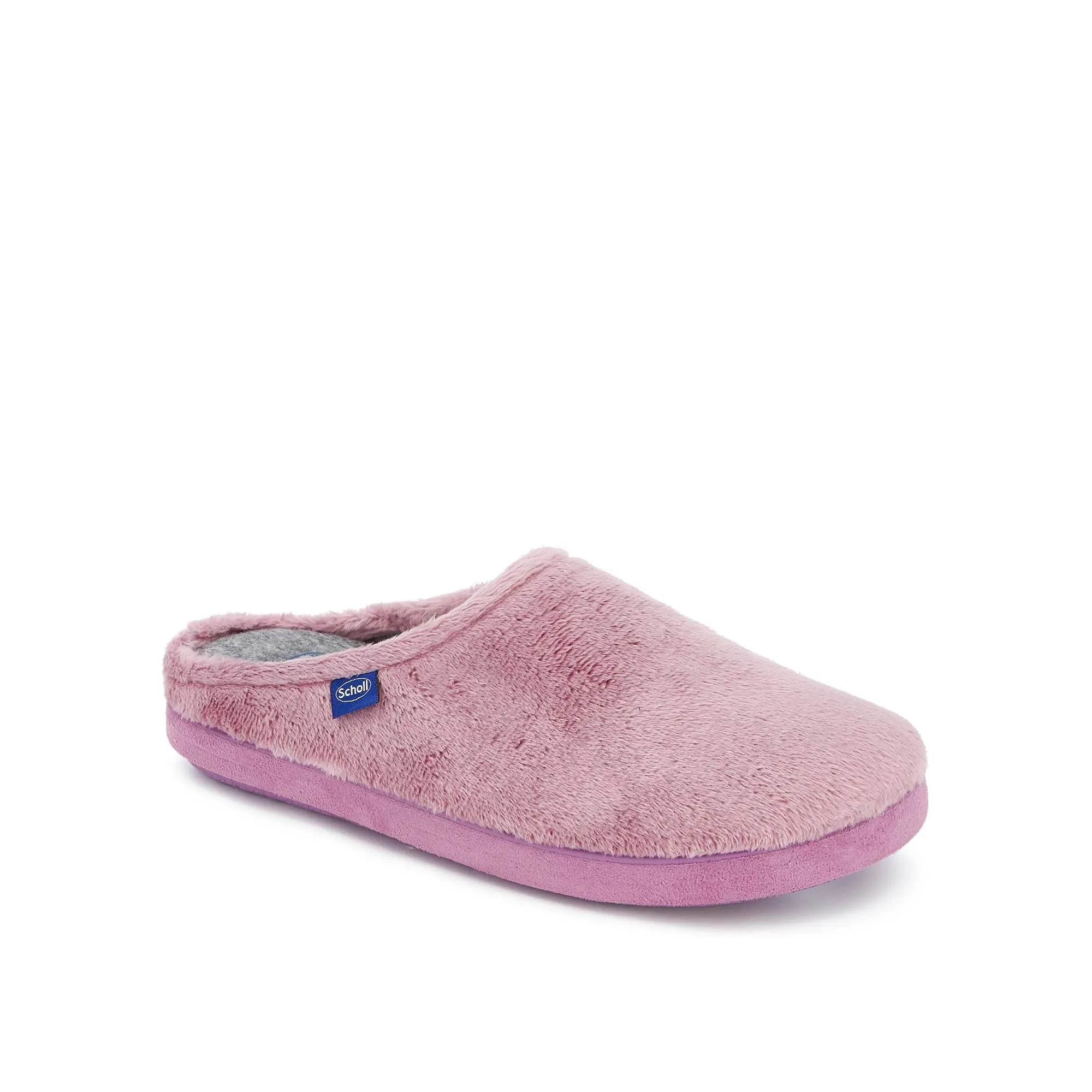HOLLY -Scholl
