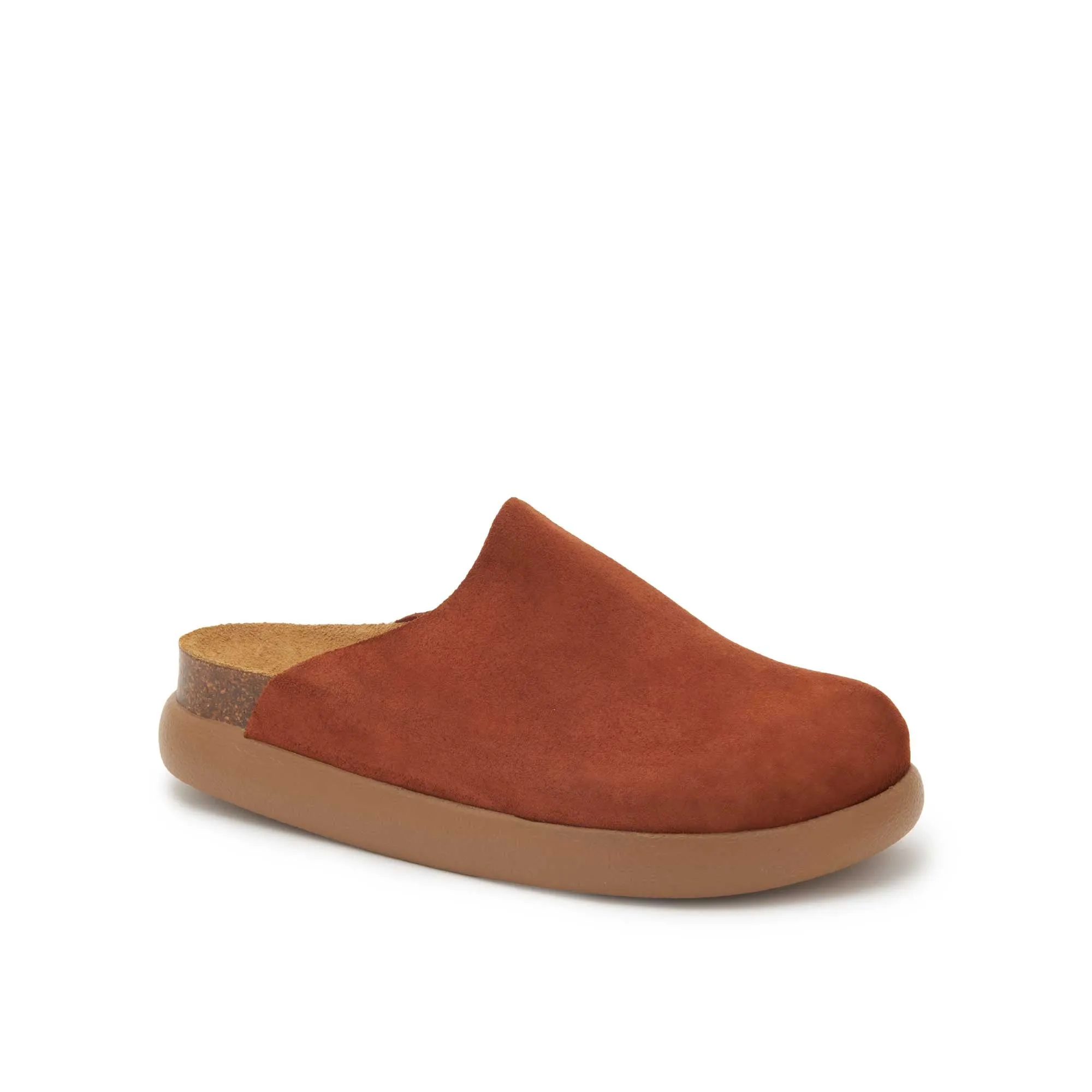 IVY 2.0 -Scholl