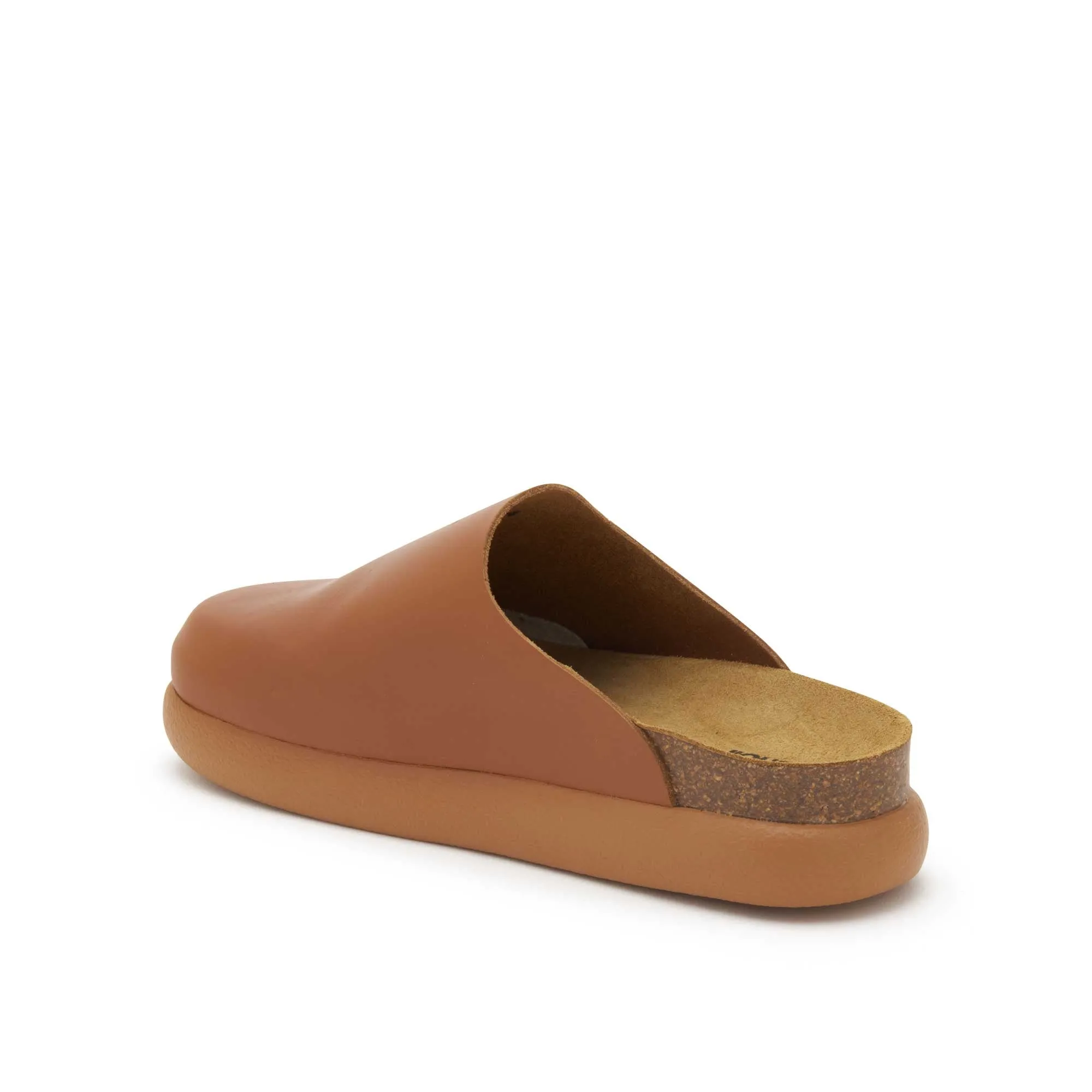 IVY 2.0 -Scholl