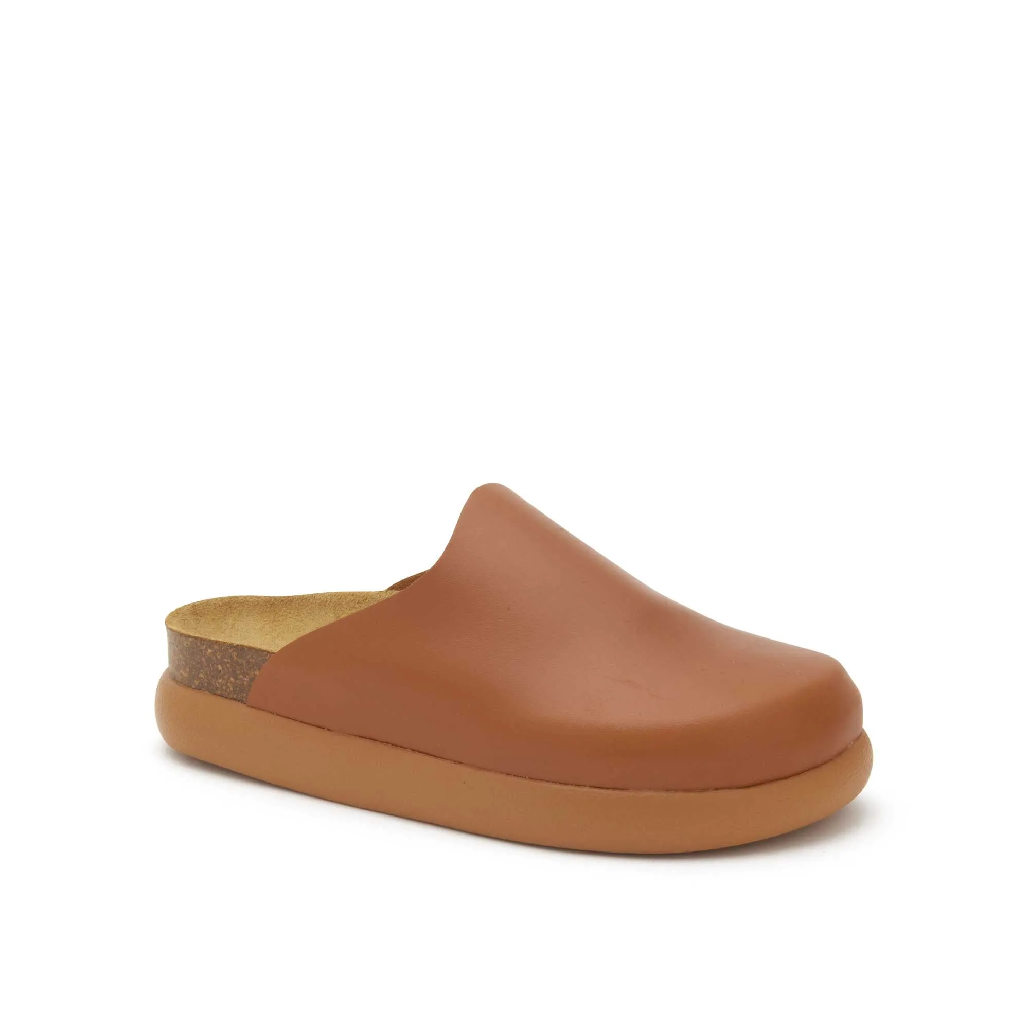IVY 2.0 -Scholl
