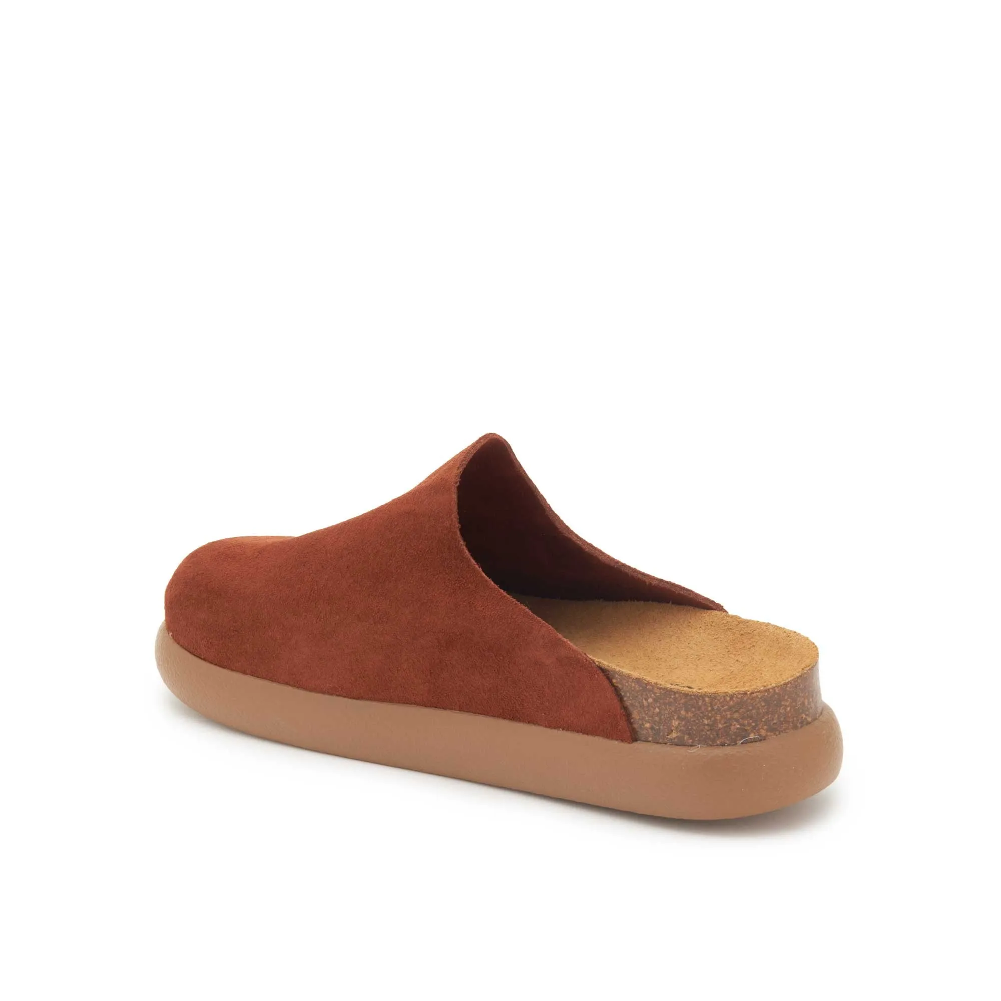 IVY 2.0 -Scholl