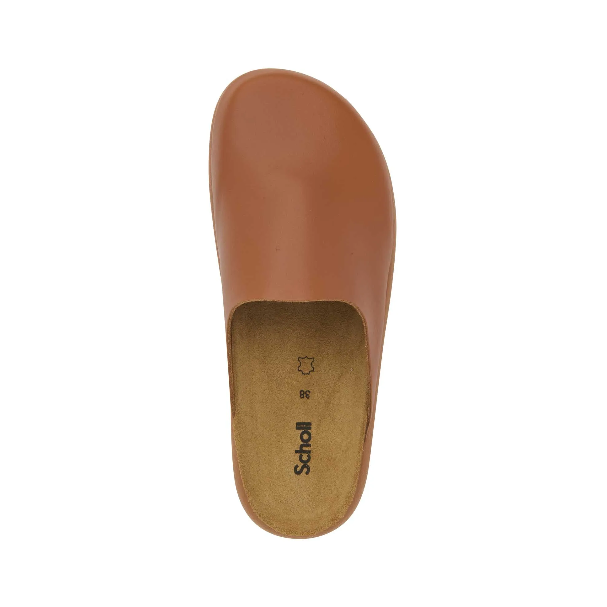 IVY 2.0 -Scholl