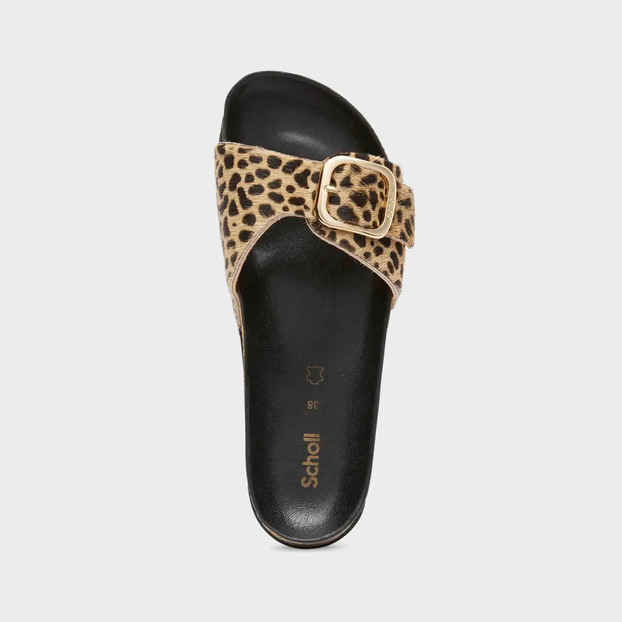 Kathleen Women Shoes-Scholl