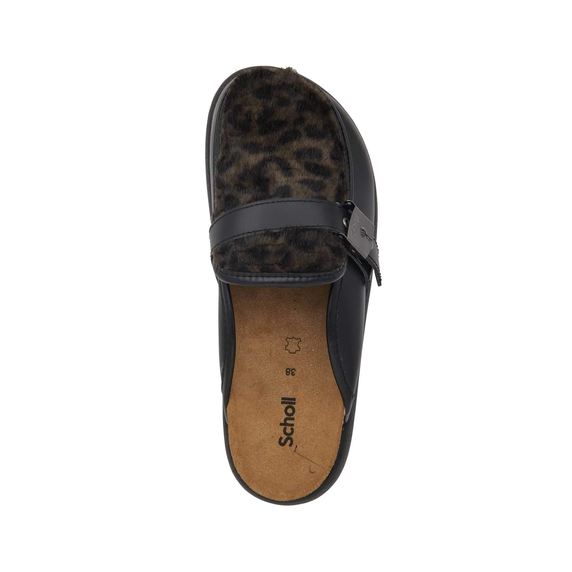 KENDALL -Scholl