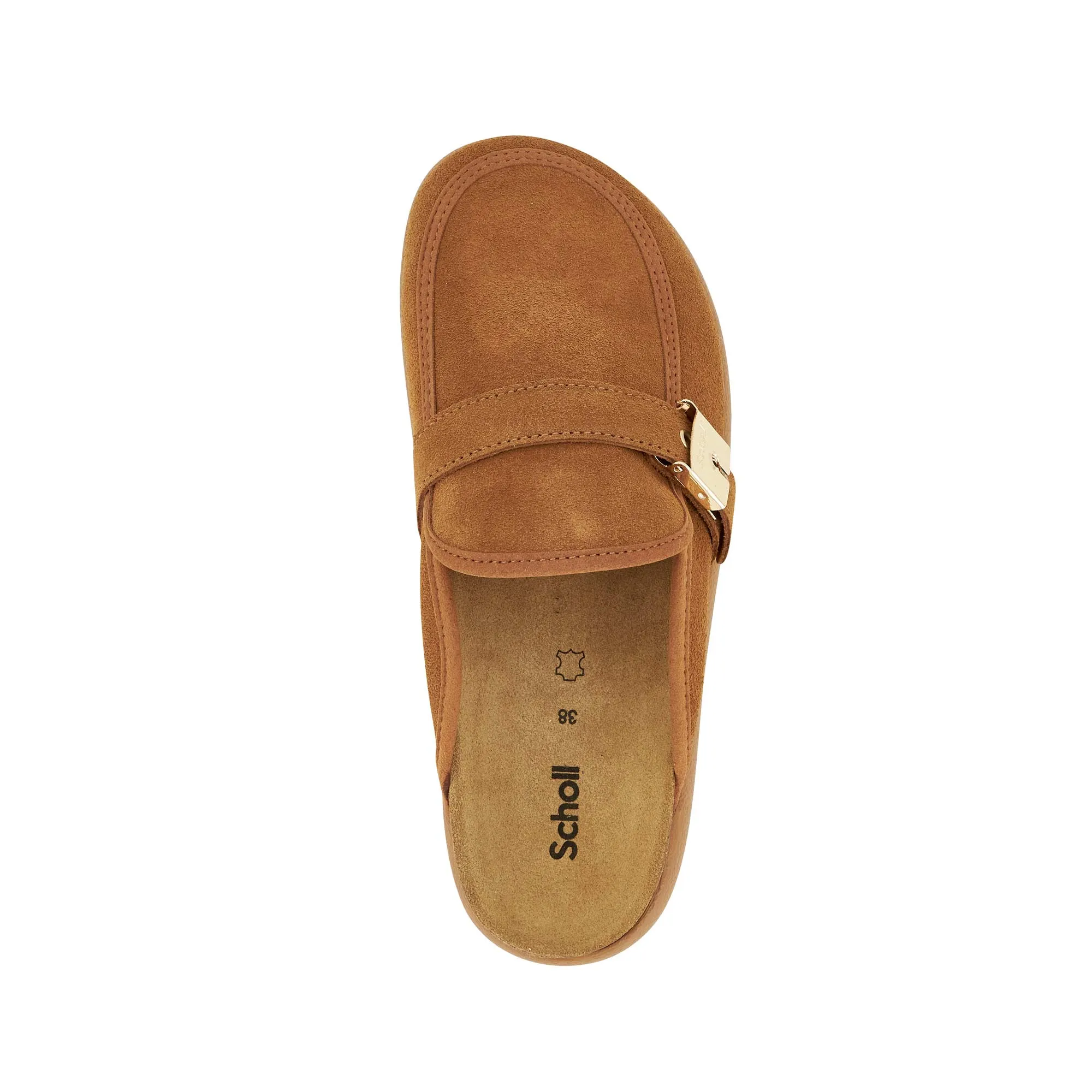 KENDALL -Scholl