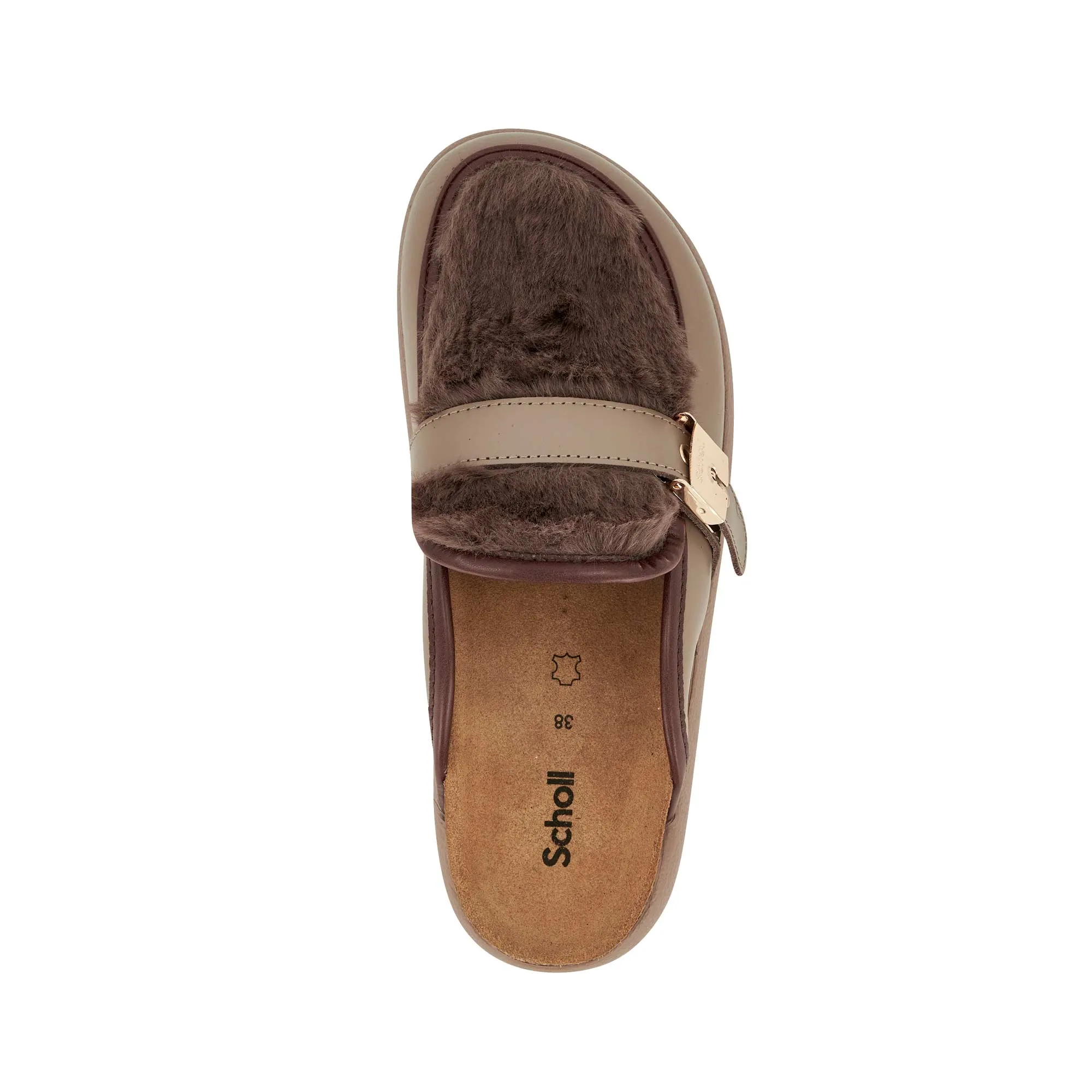 KENDALL -Scholl