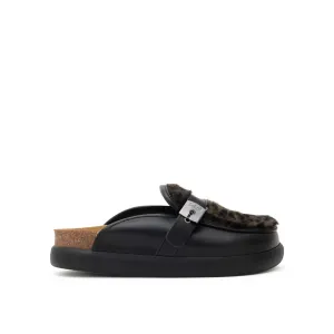 KENDALL -Scholl