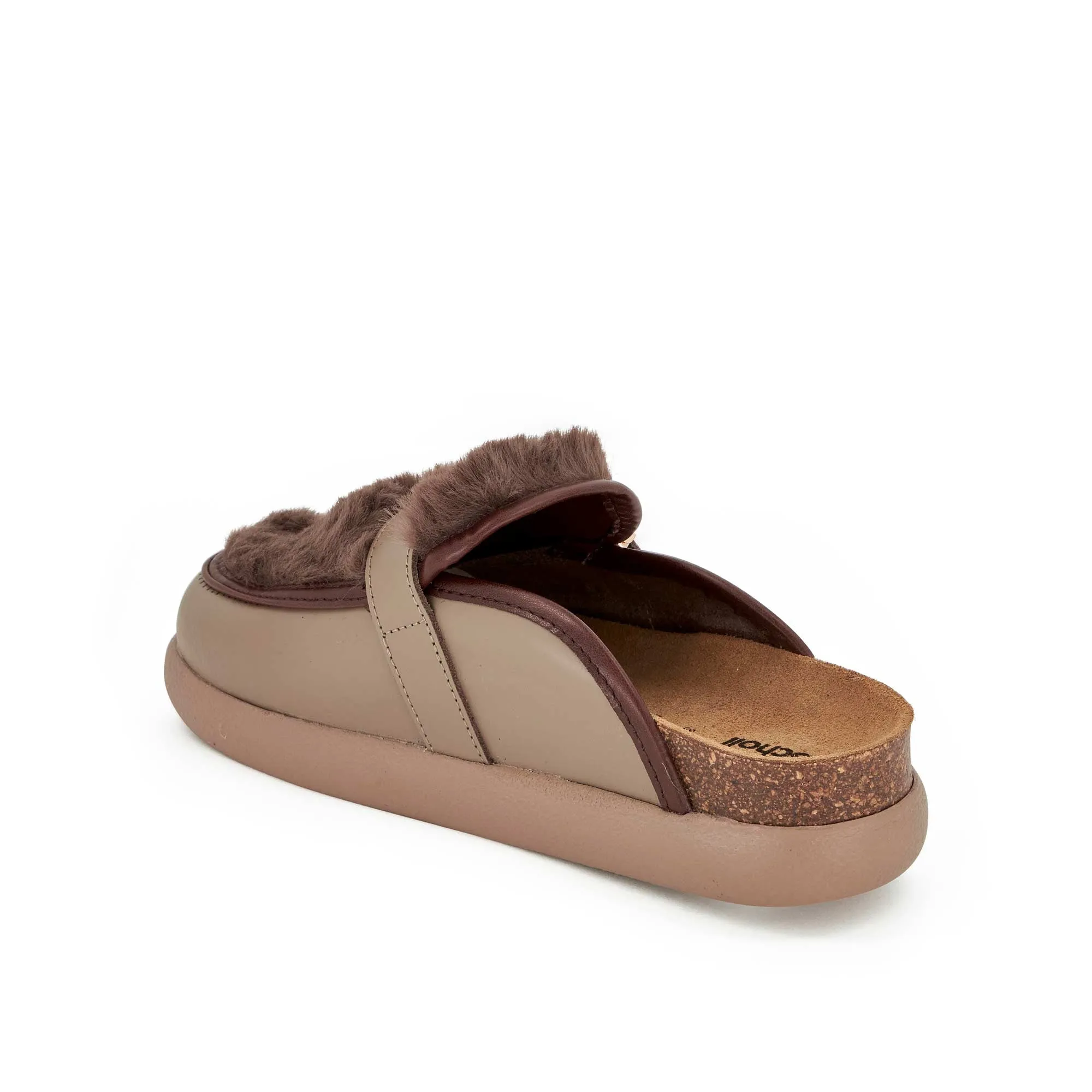 KENDALL -Scholl