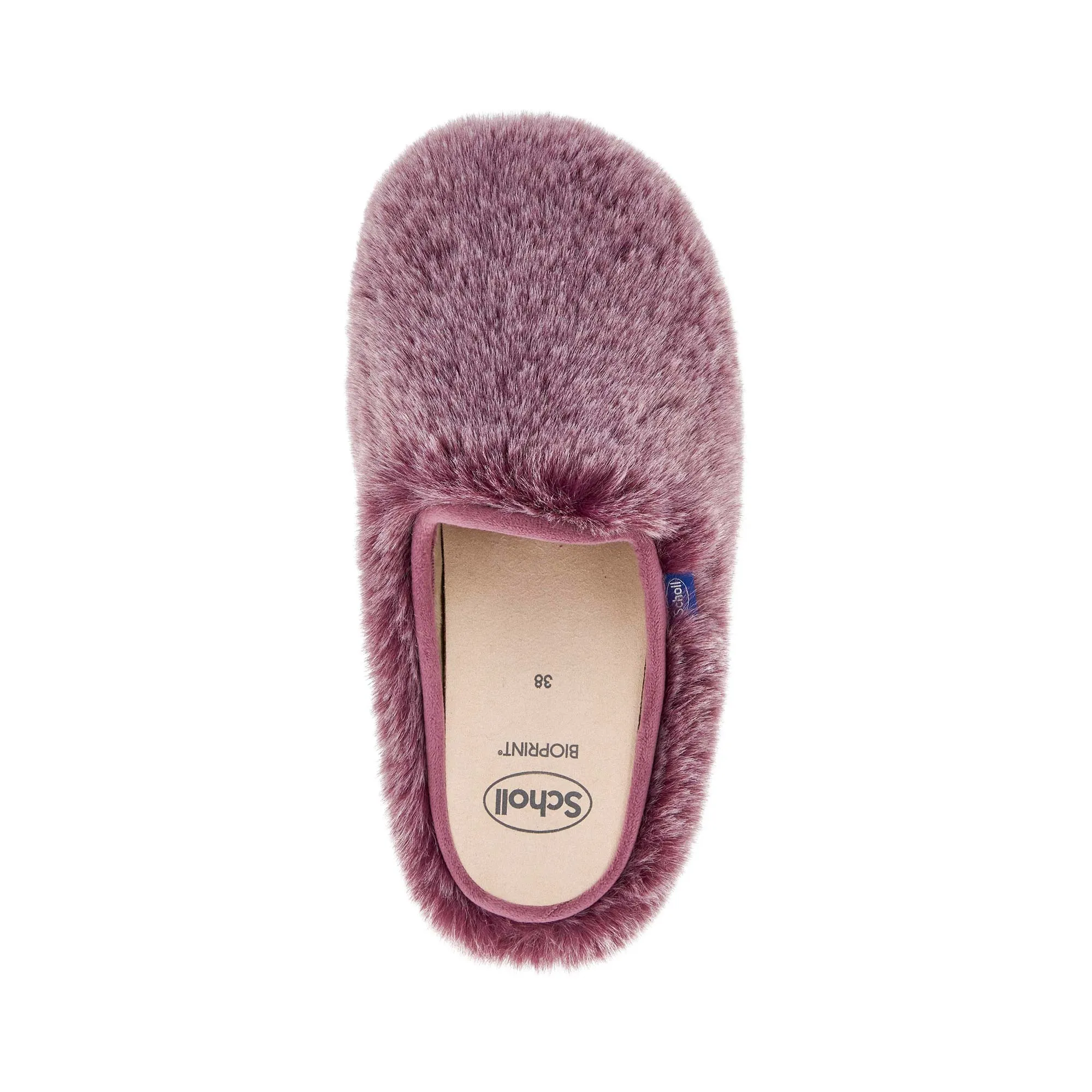 MADDY Women Shoes-Scholl