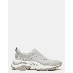 Mazus Grey