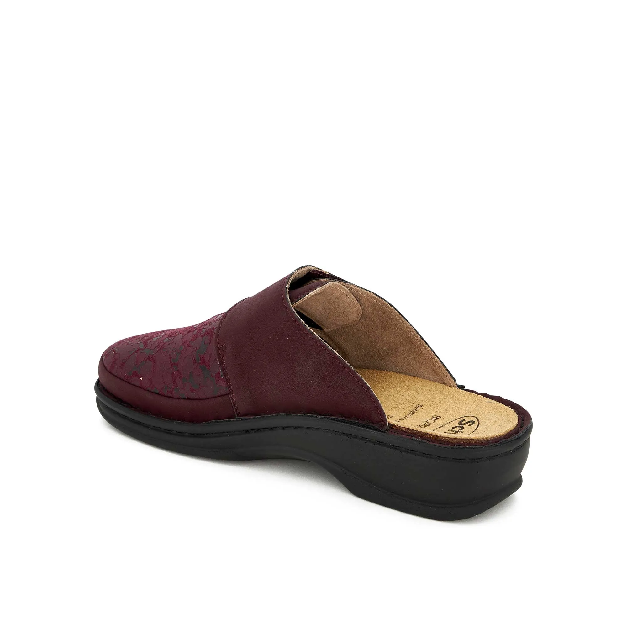 ONDINA -Scholl