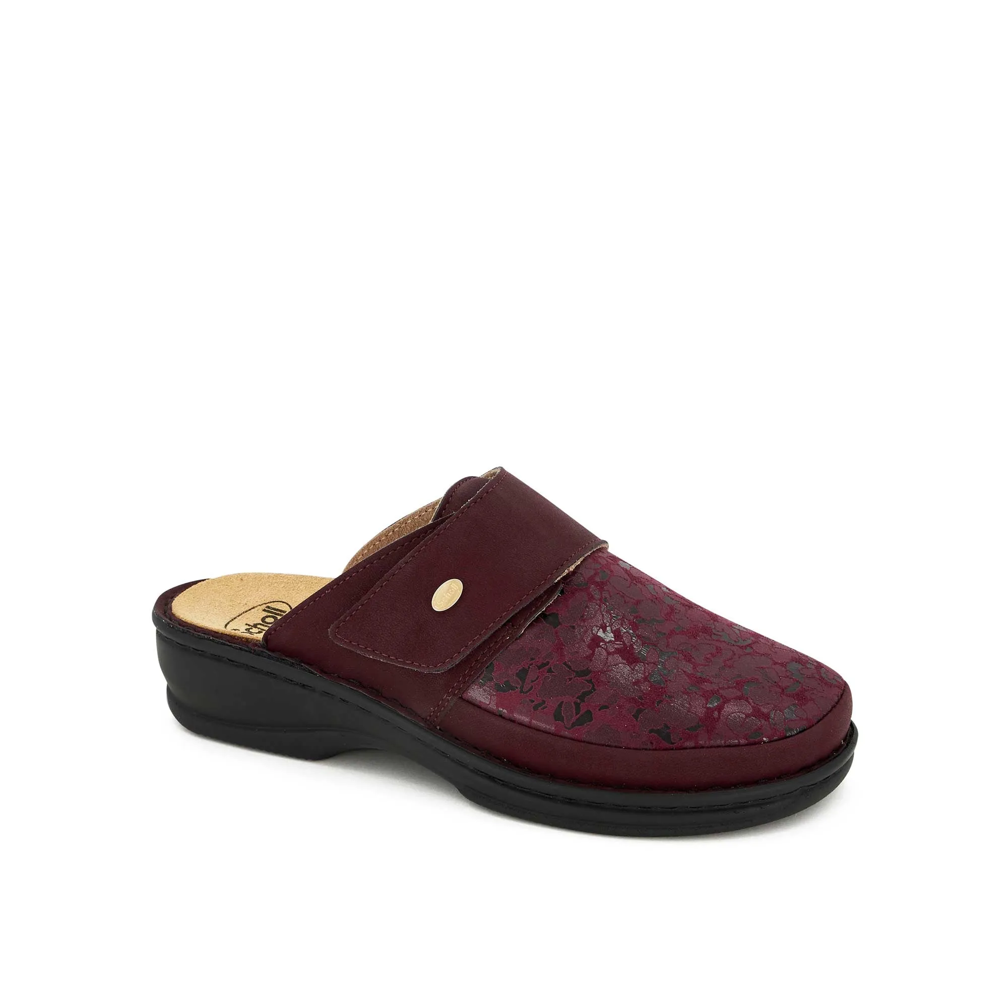 ONDINA -Scholl