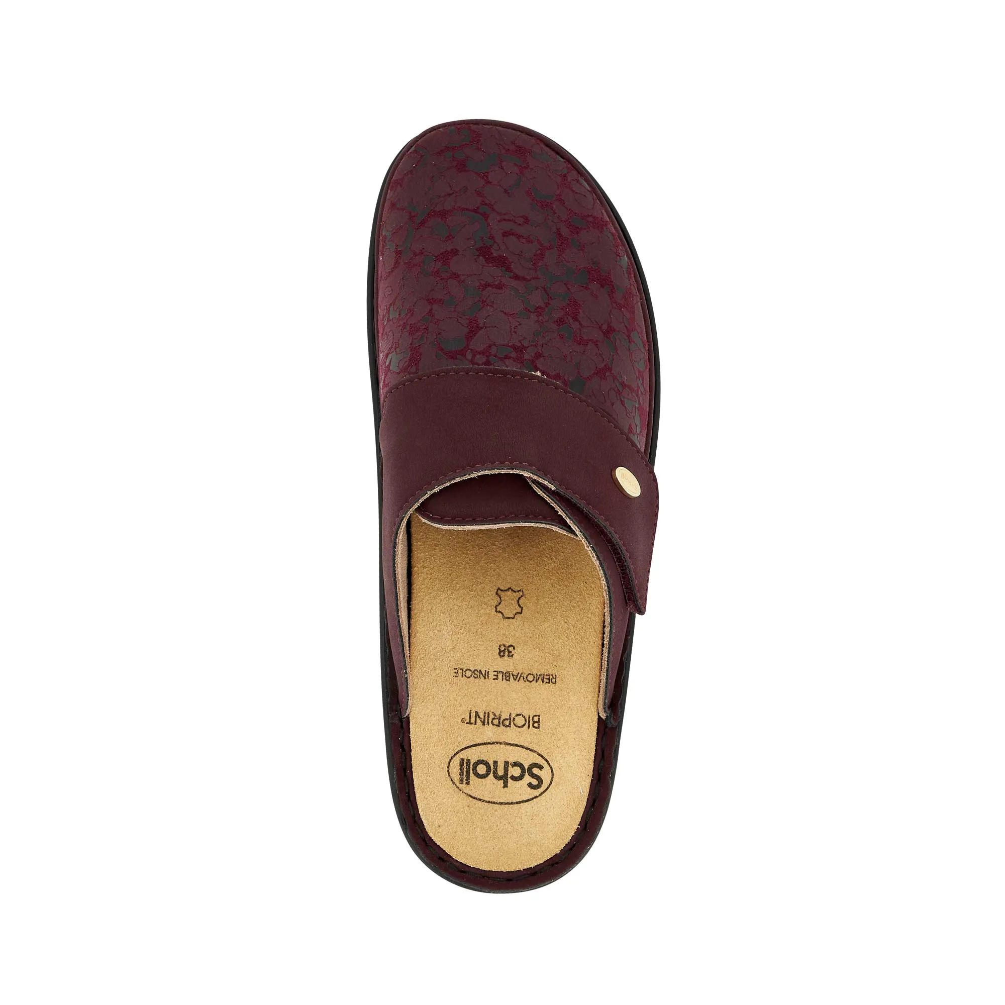 ONDINA -Scholl