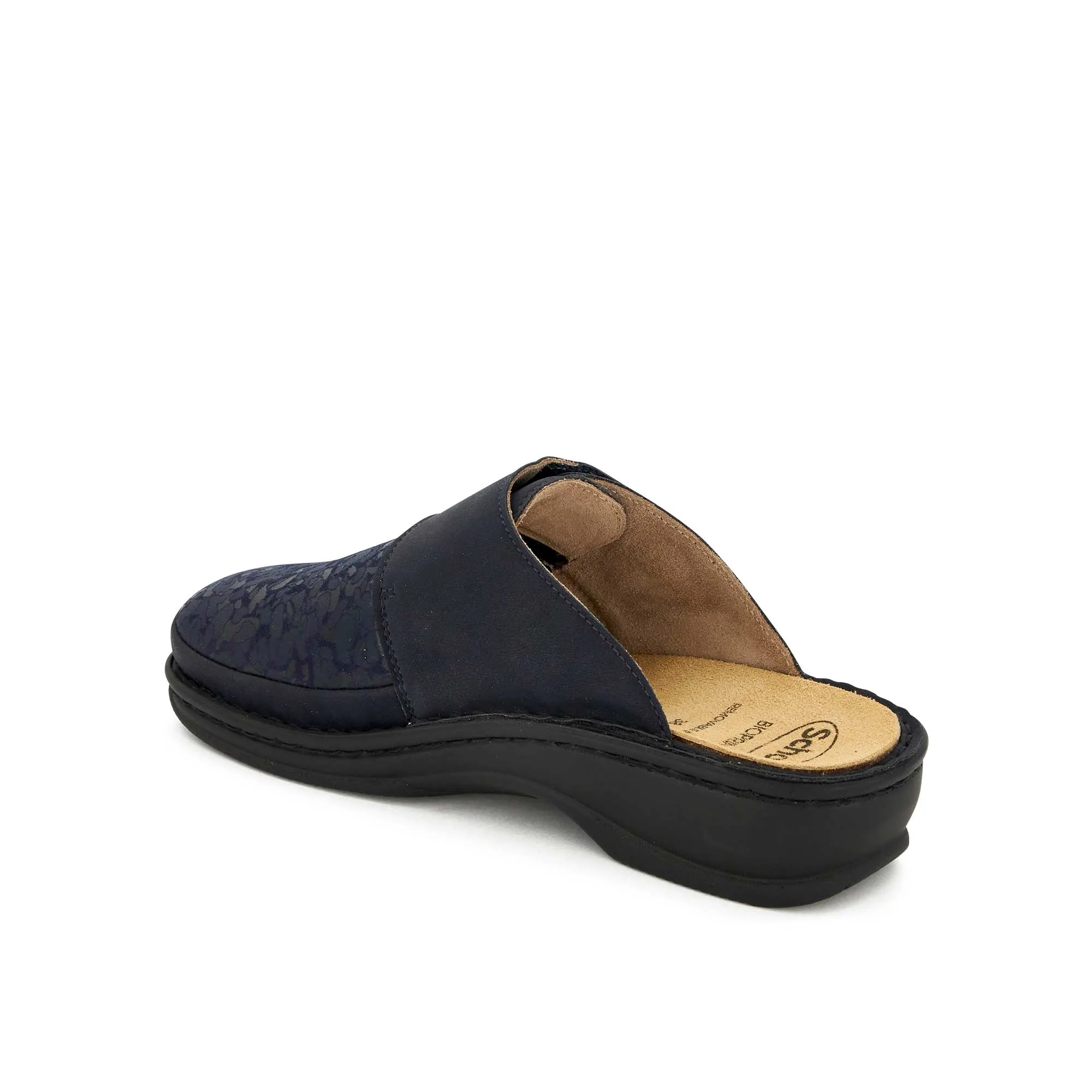 ONDINA -Scholl