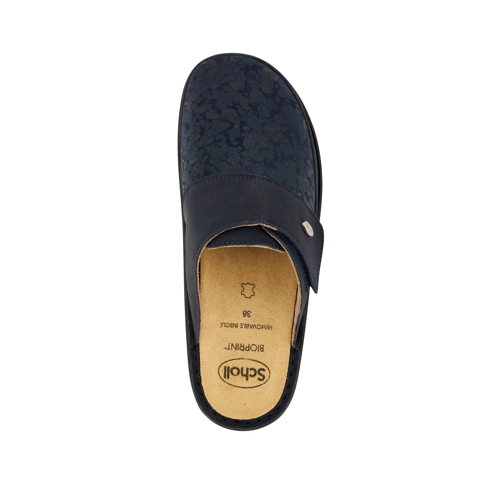 ONDINA -Scholl
