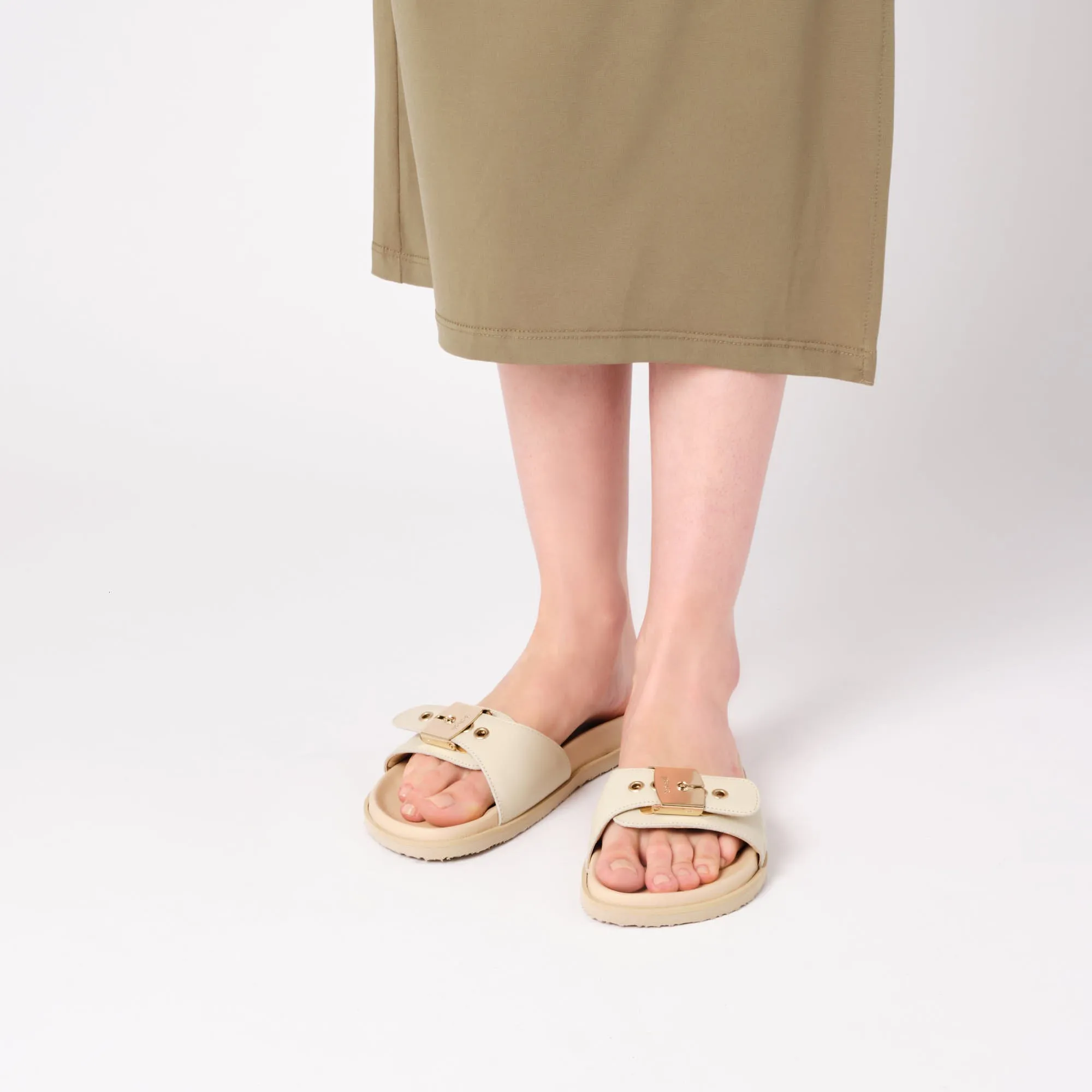 PESCURA ANNE -Scholl