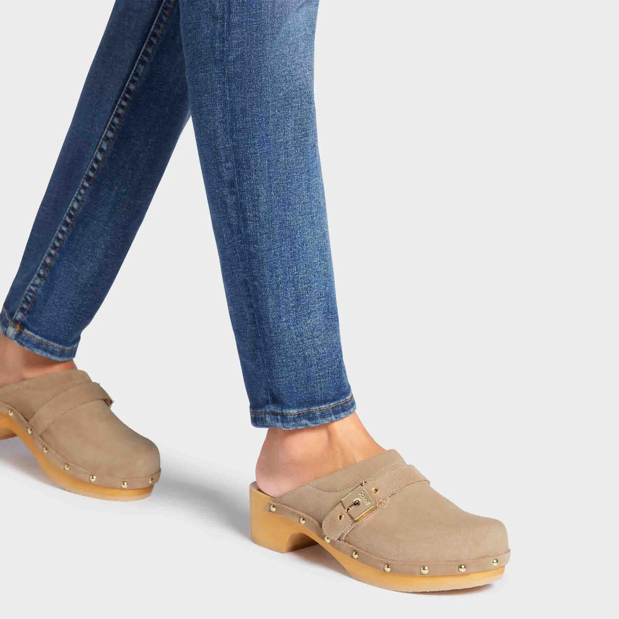 Pescura Clog 50 Women Shoes-Scholl