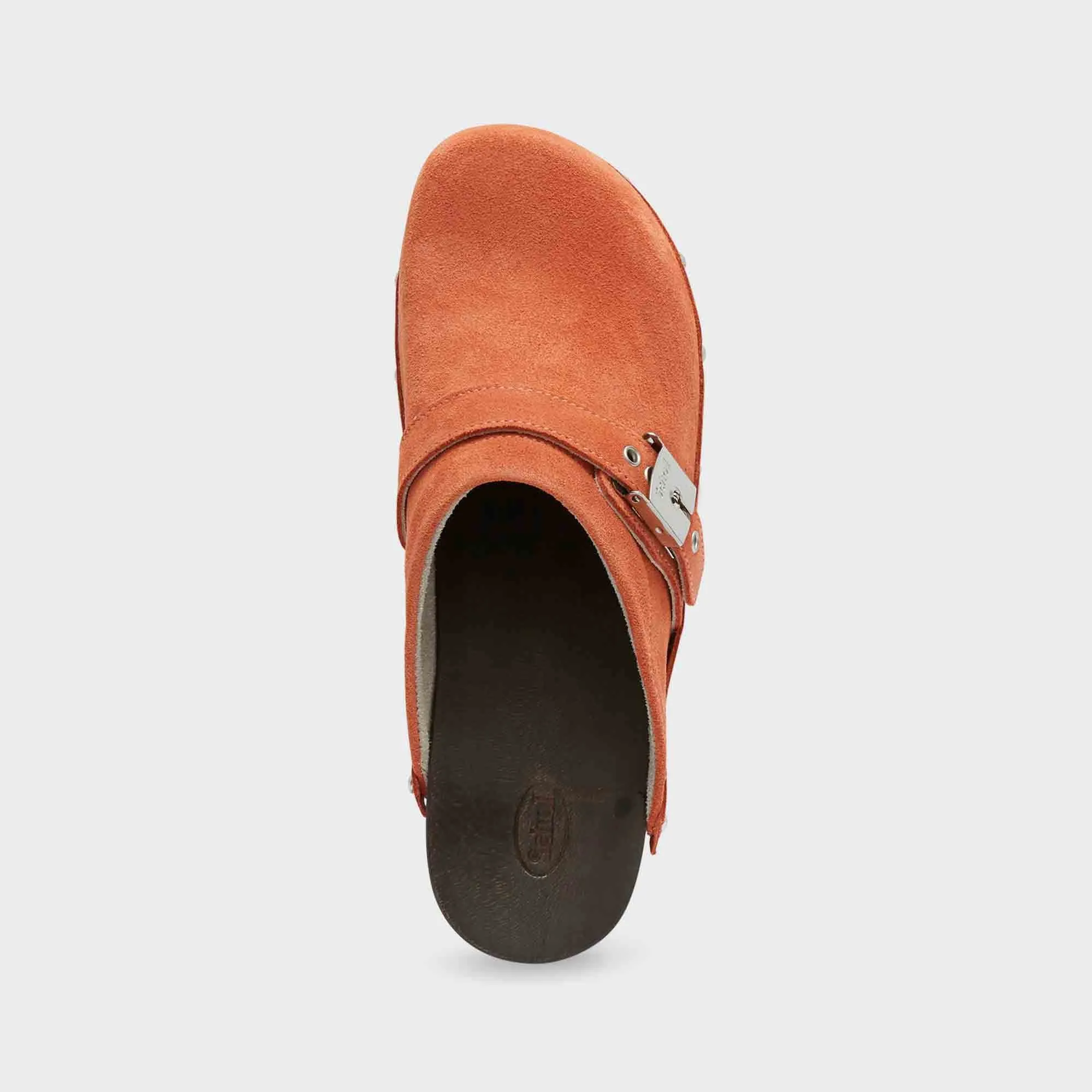 Pescura Clog 50 Women Shoes-Scholl