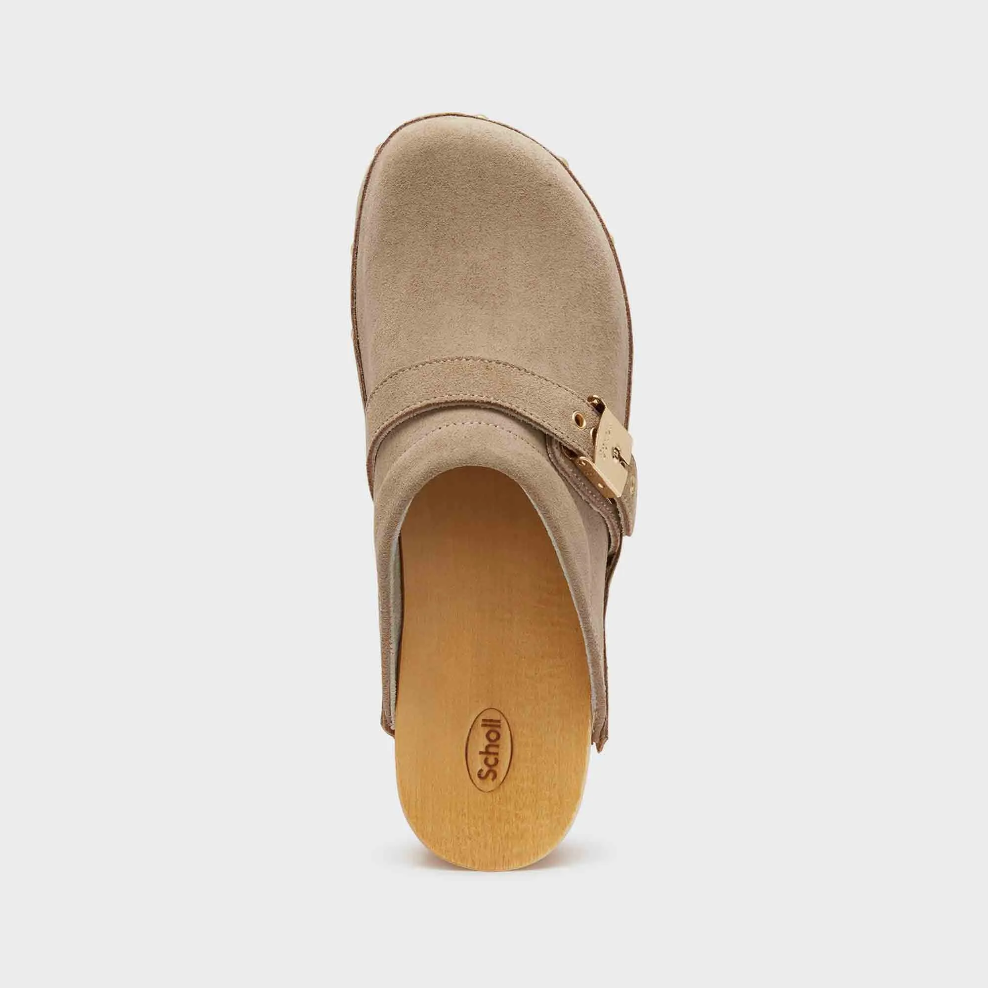 Pescura Clog 50 Women Shoes-Scholl