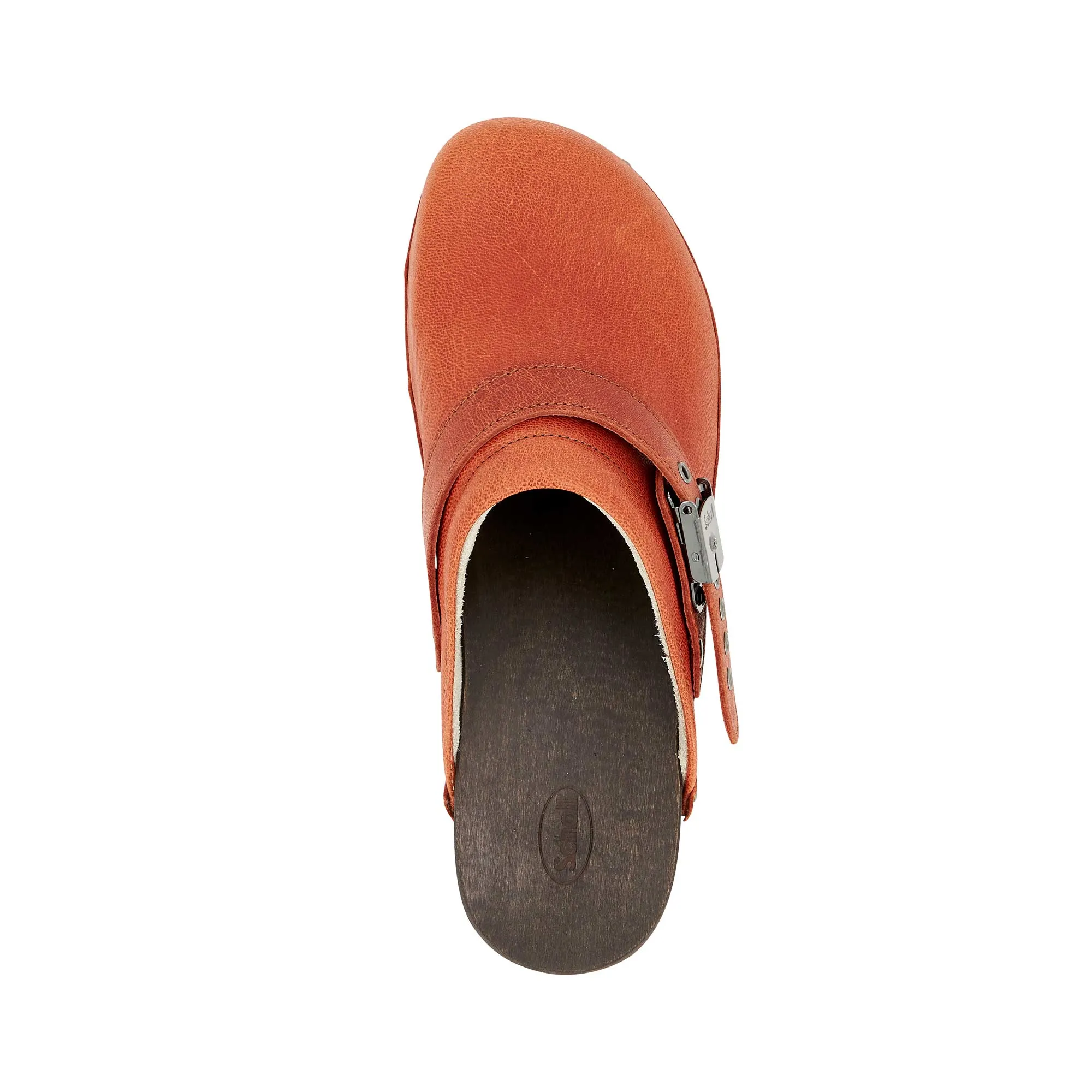 PESCURA ROBIN N/F -Scholl