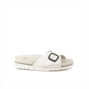 SENNY -Scholl